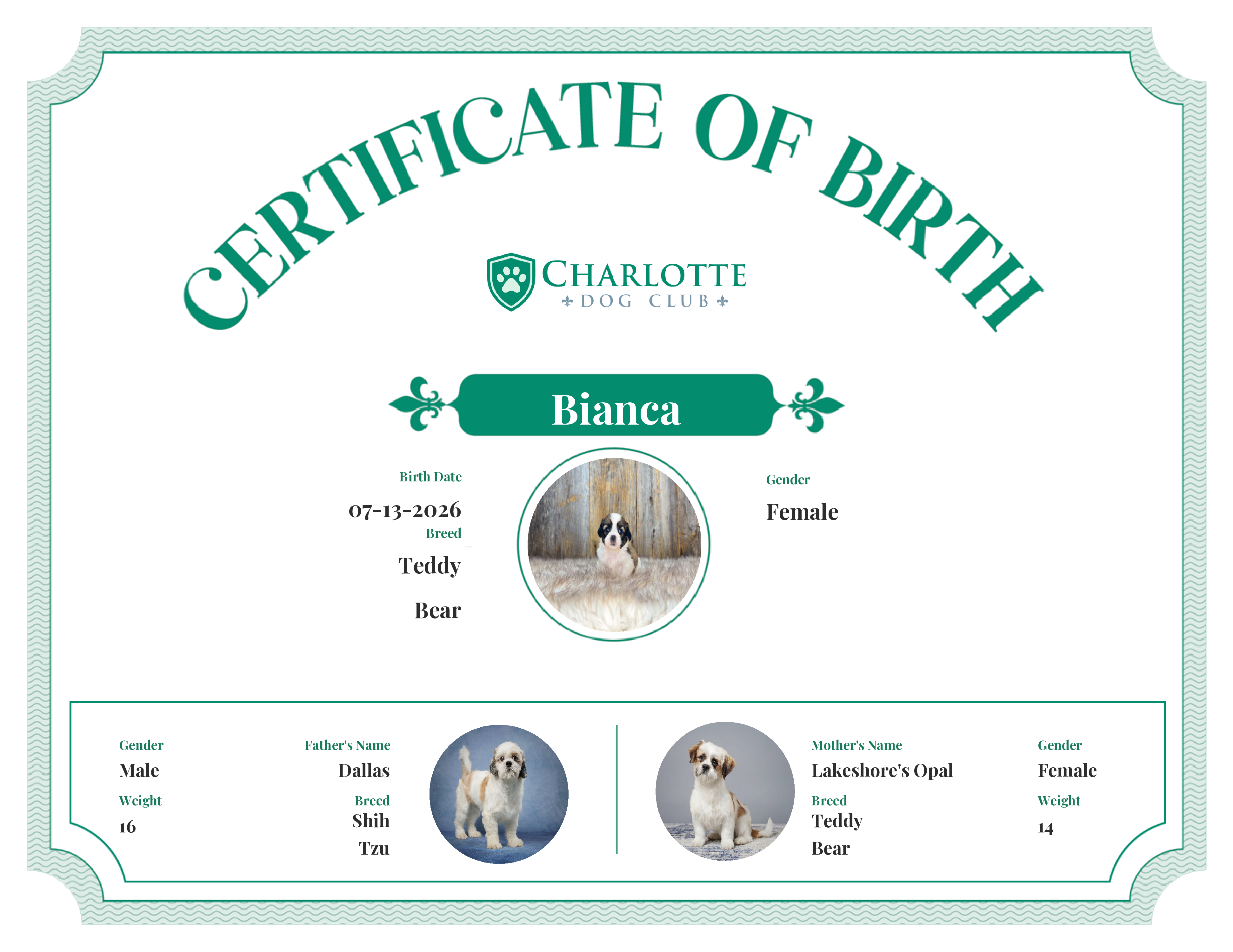 Bianca's Birth Certificate