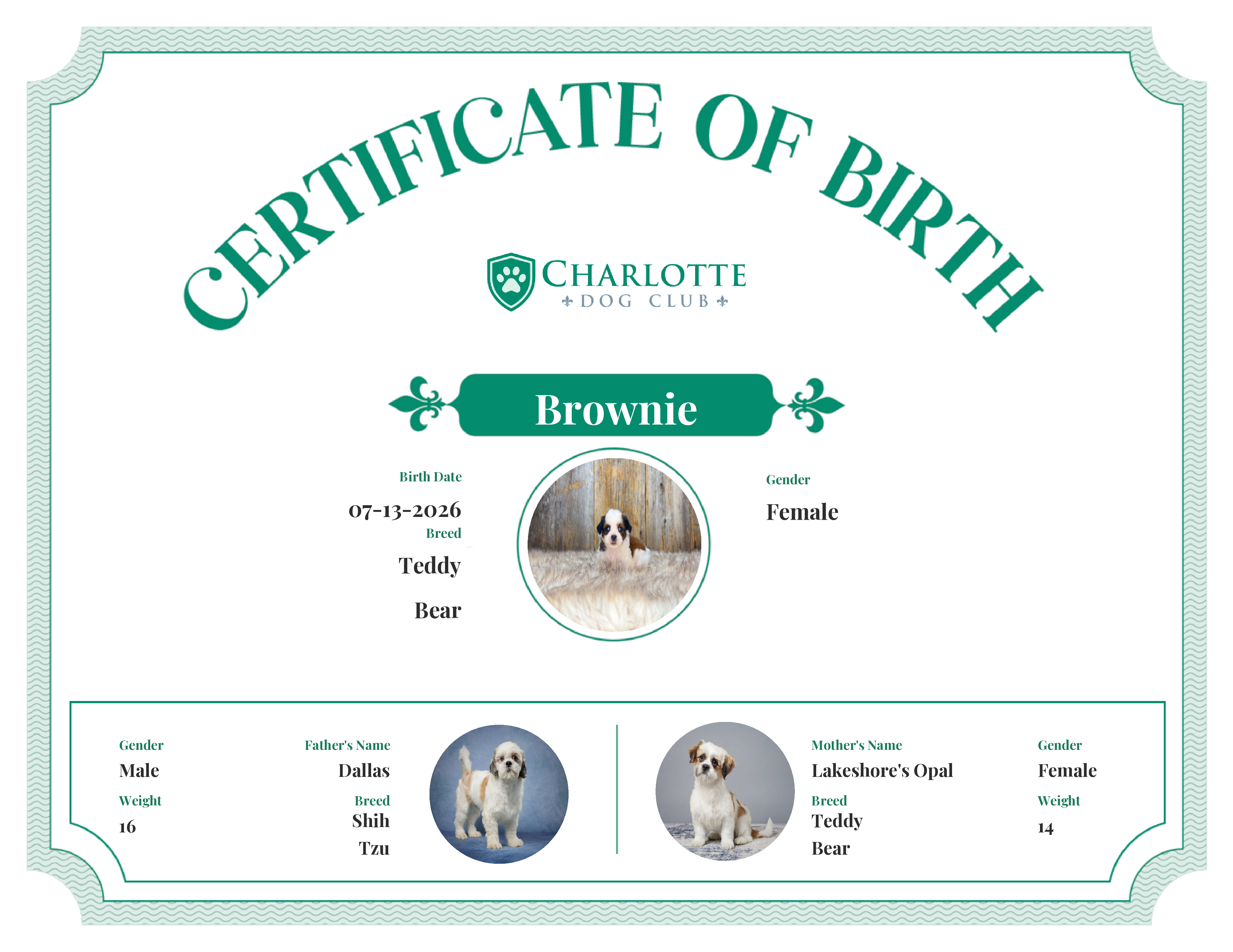 Brownie's Birth Certificate