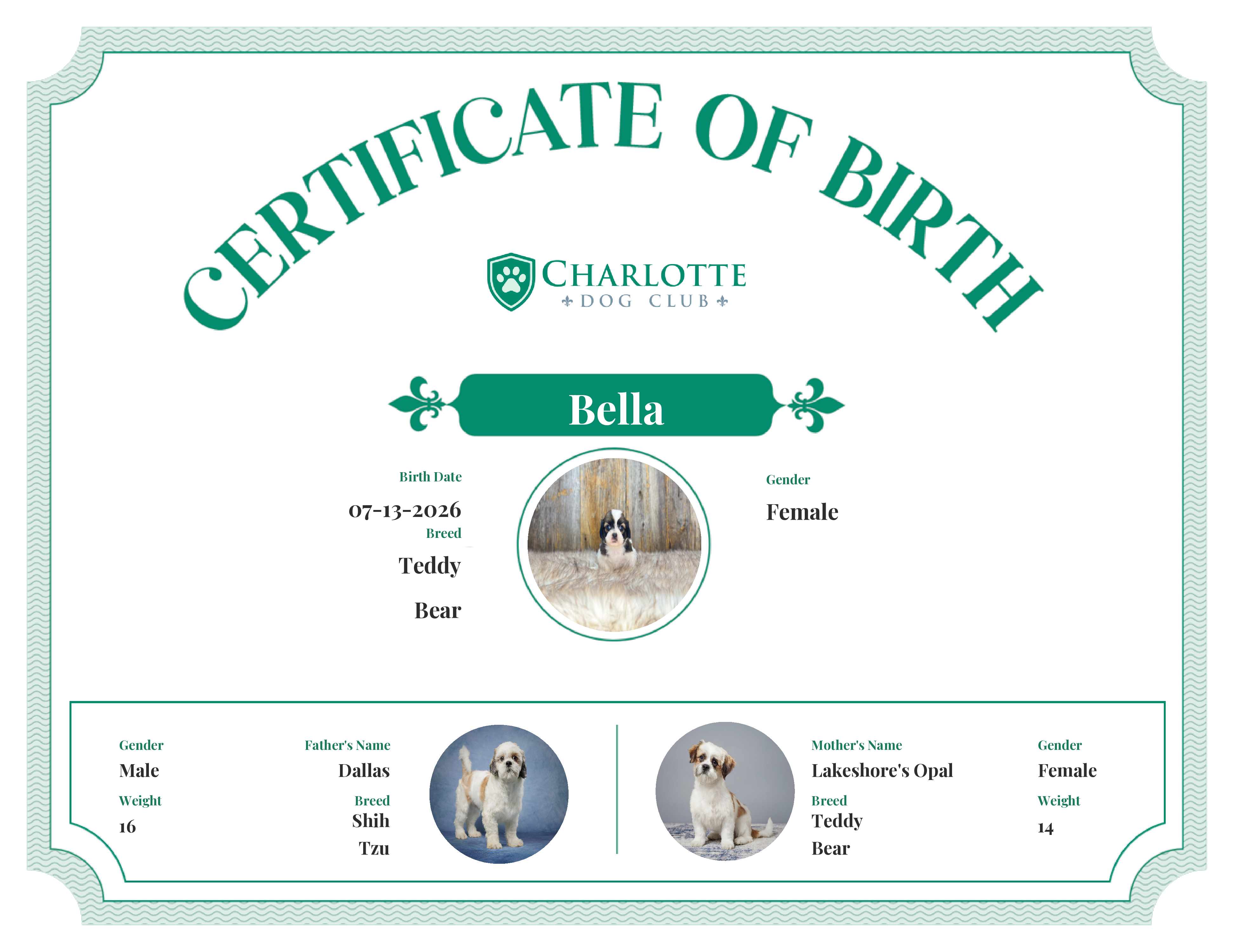 Bella's Birth Certificate