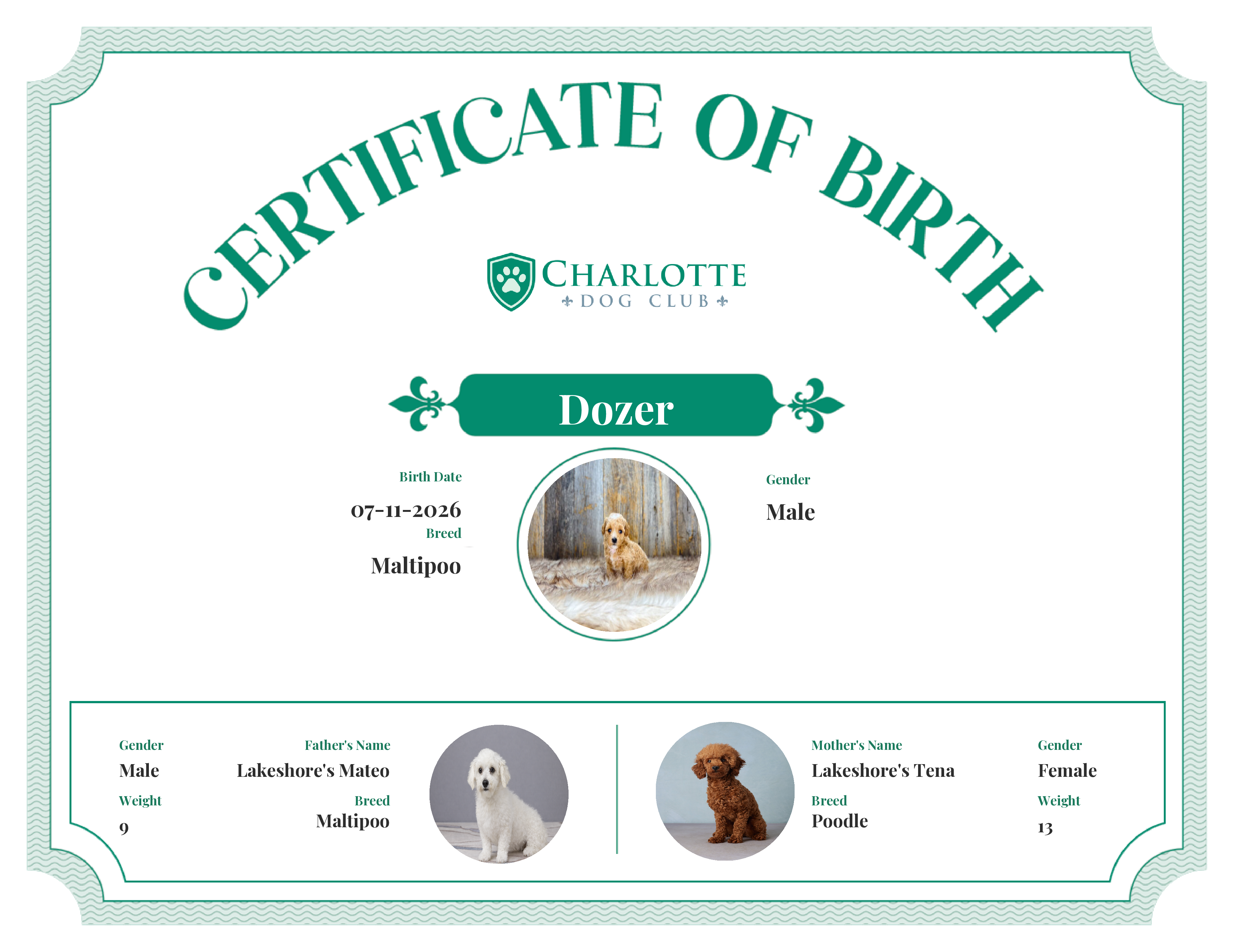 Dozer's Birth Certificate