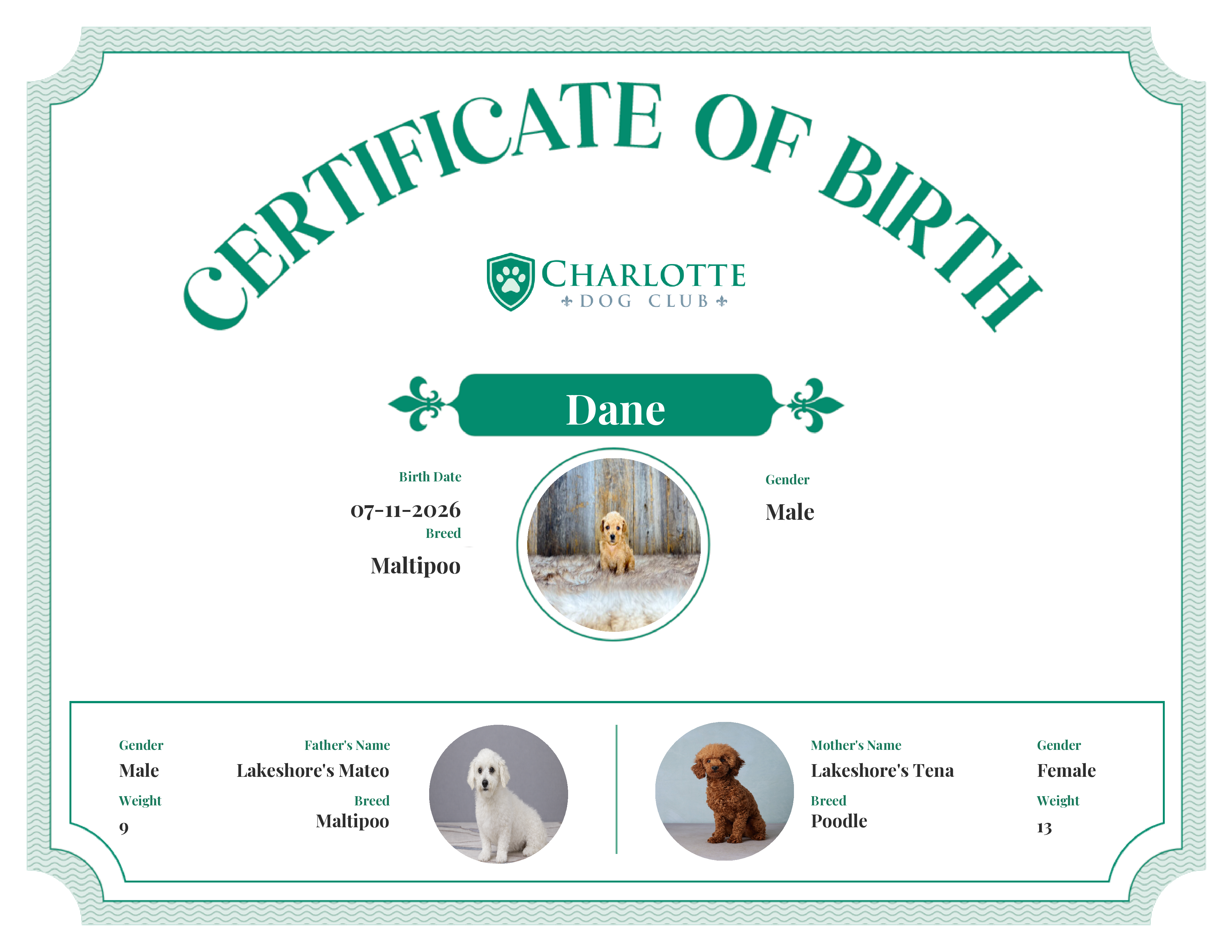 Dane's Birth Certificate