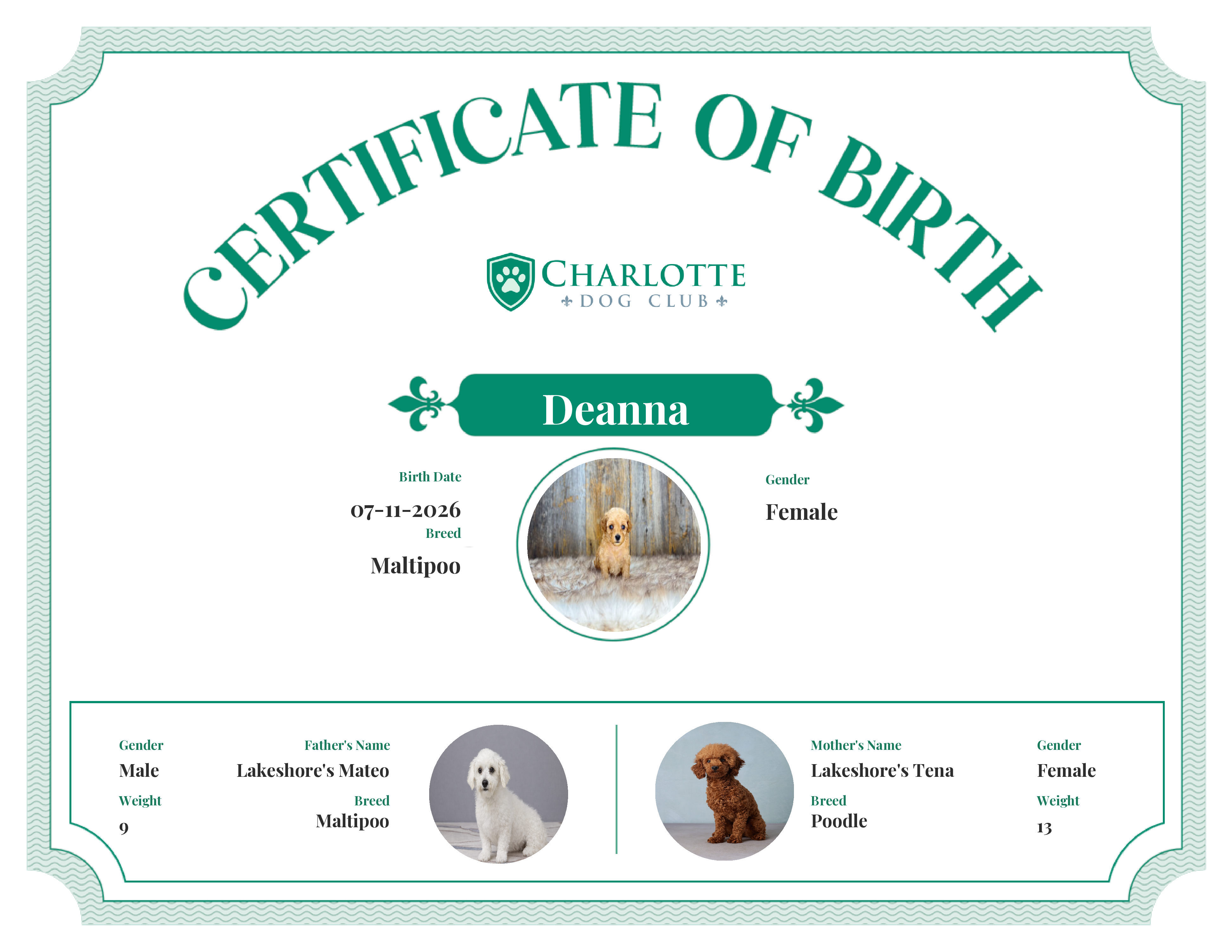 Deanna's Birth Certificate