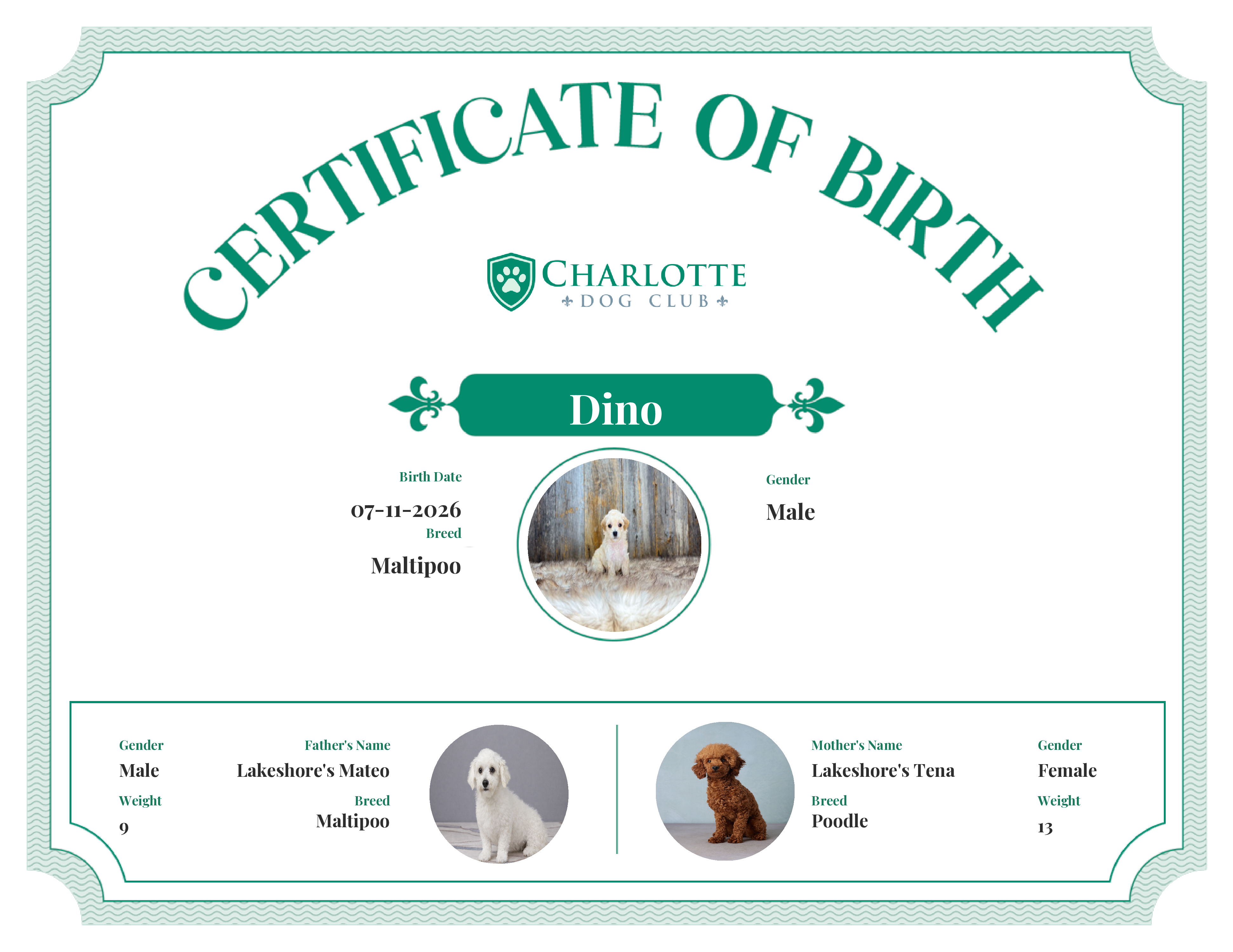 Dino's Birth Certificate