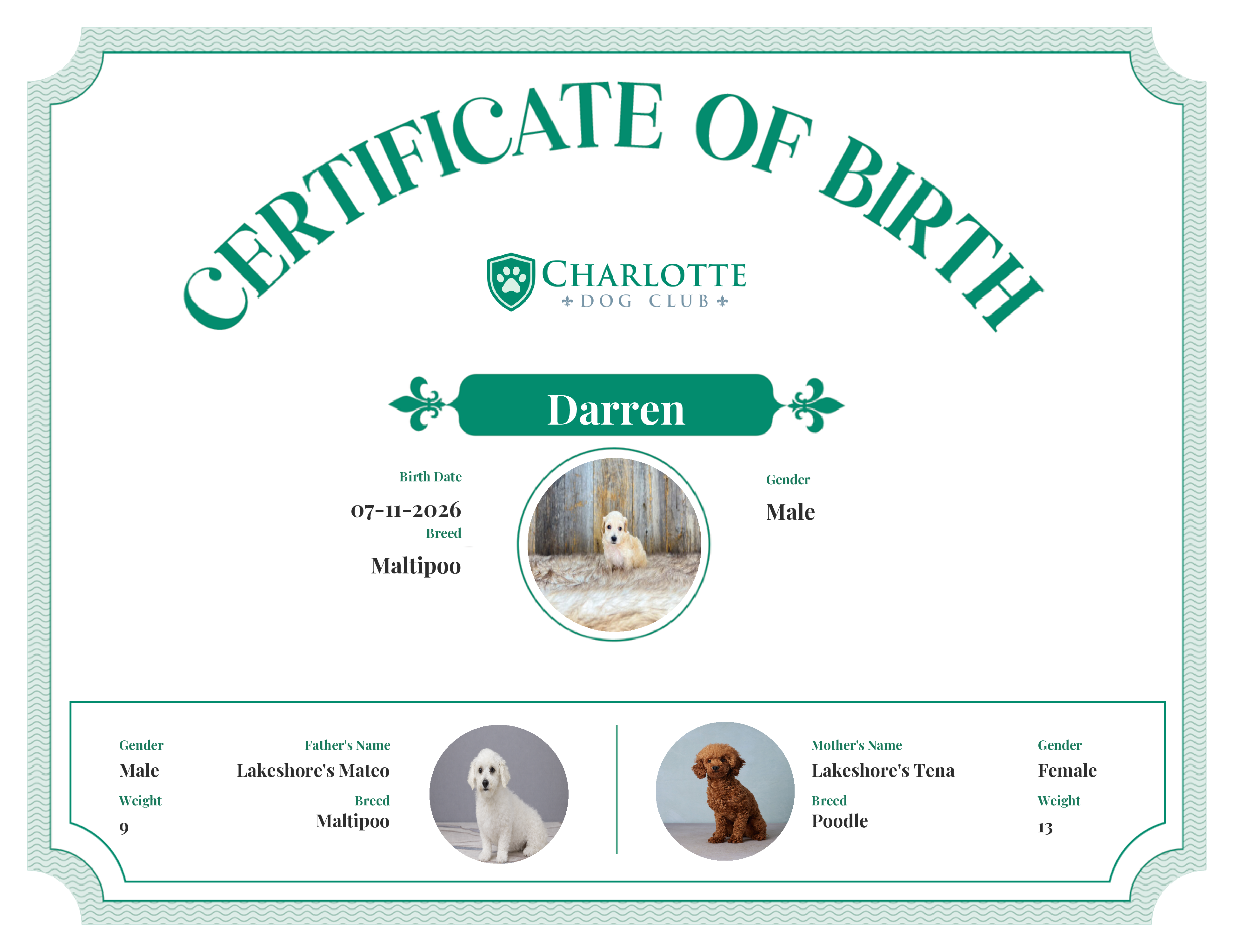 Darren's Birth Certificate