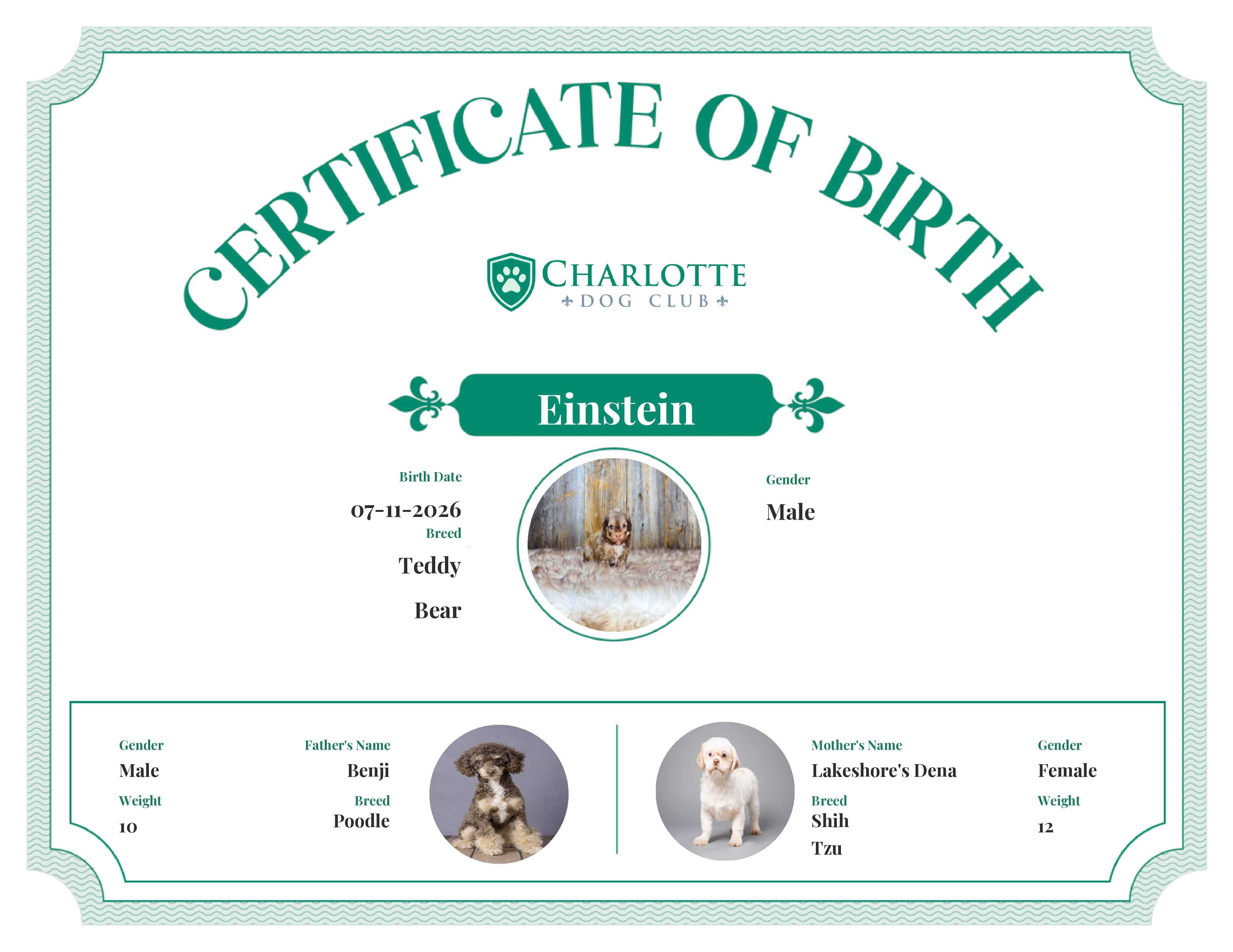 Einstein's Birth Certificate