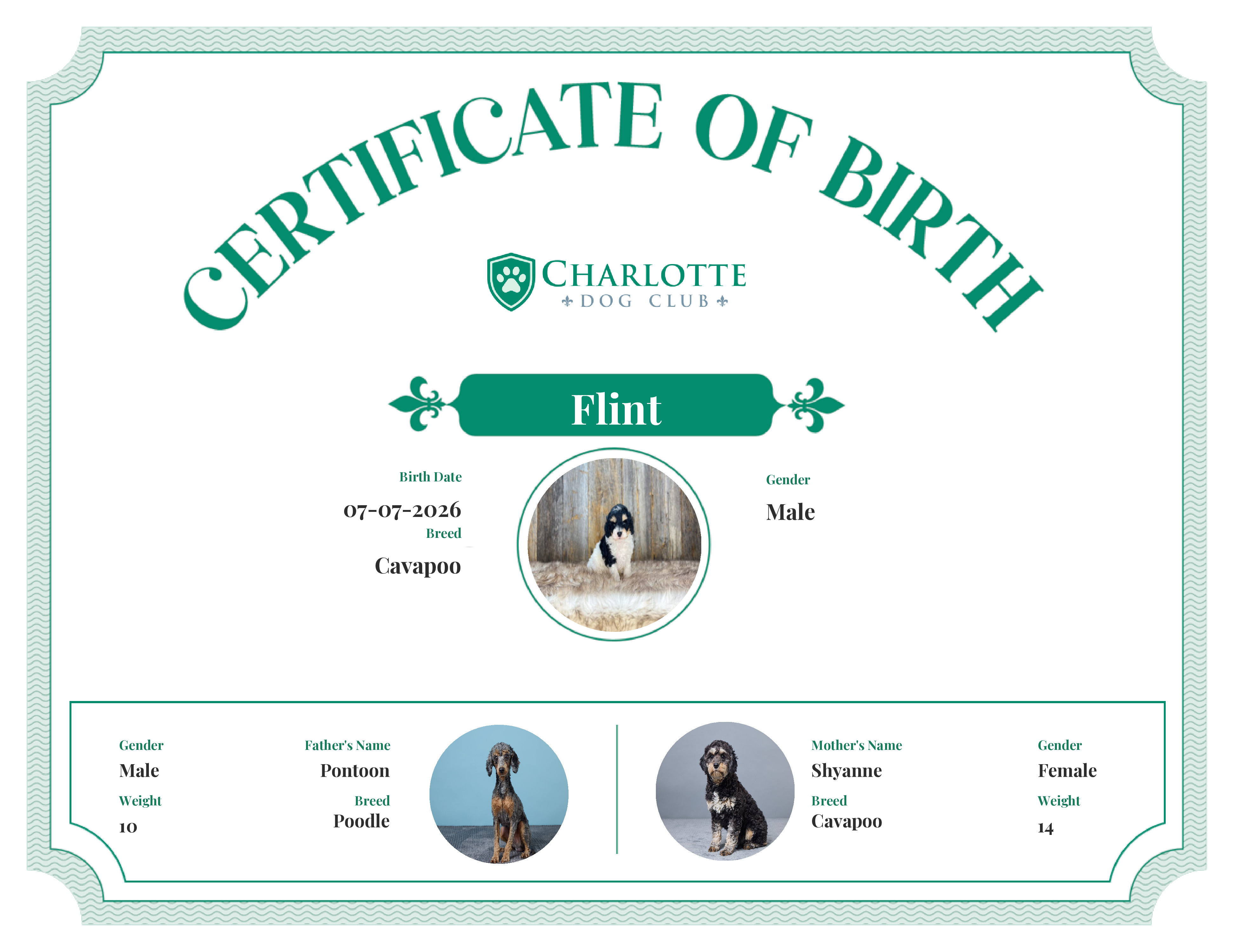 Flint's Birth Certificate
