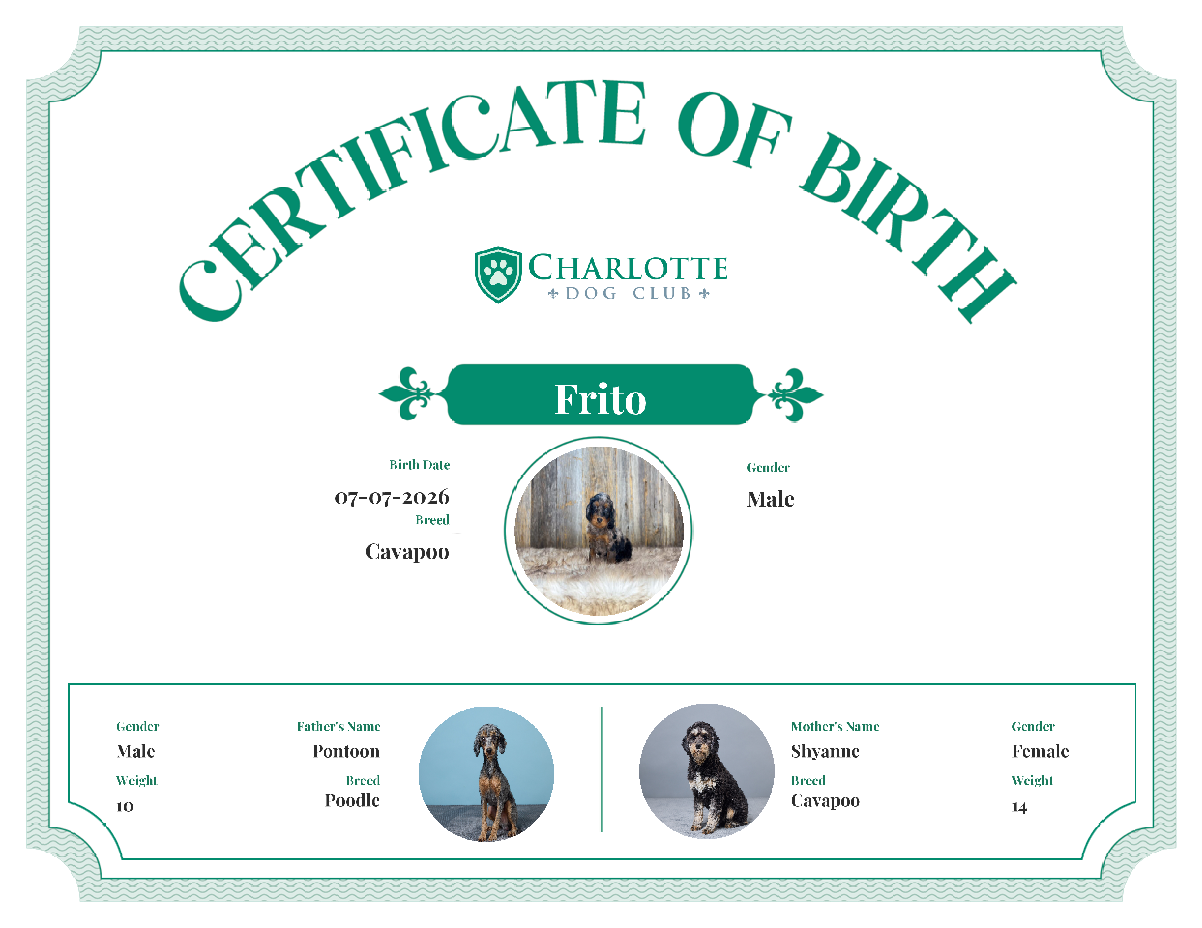 Frito's Birth Certificate