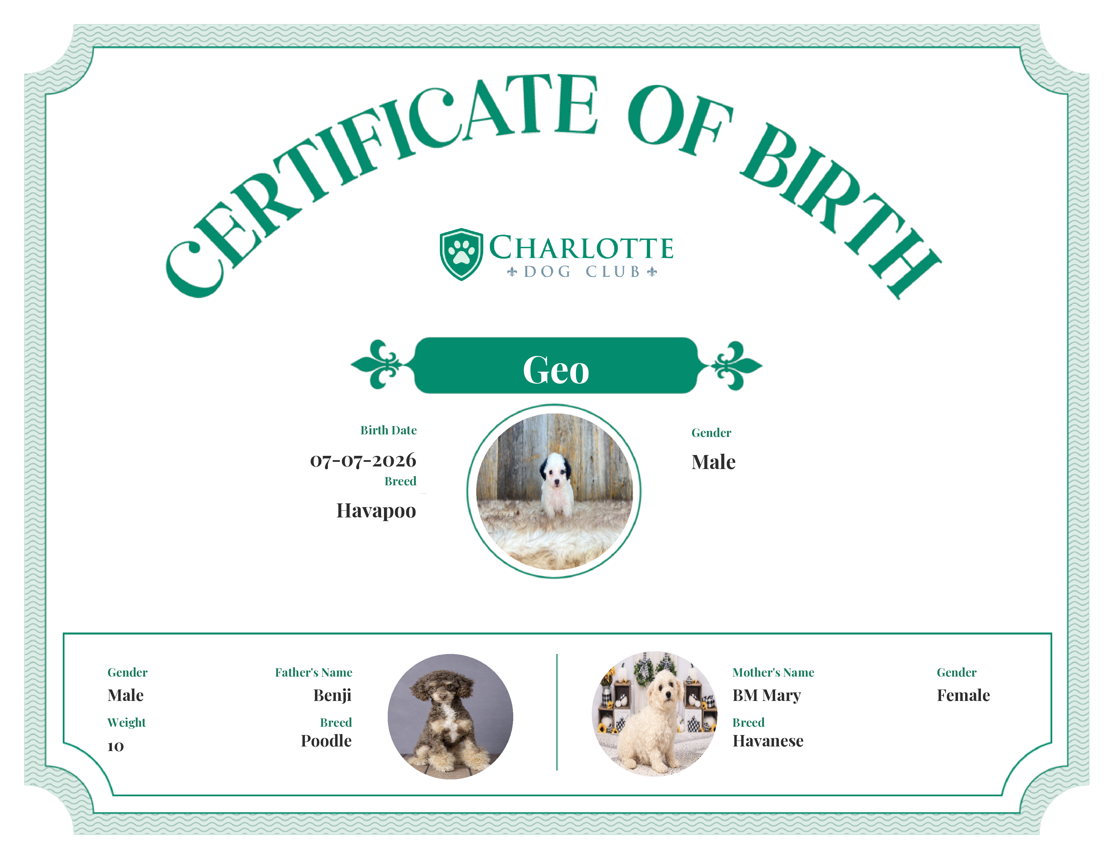 Geo's Birth Certificate