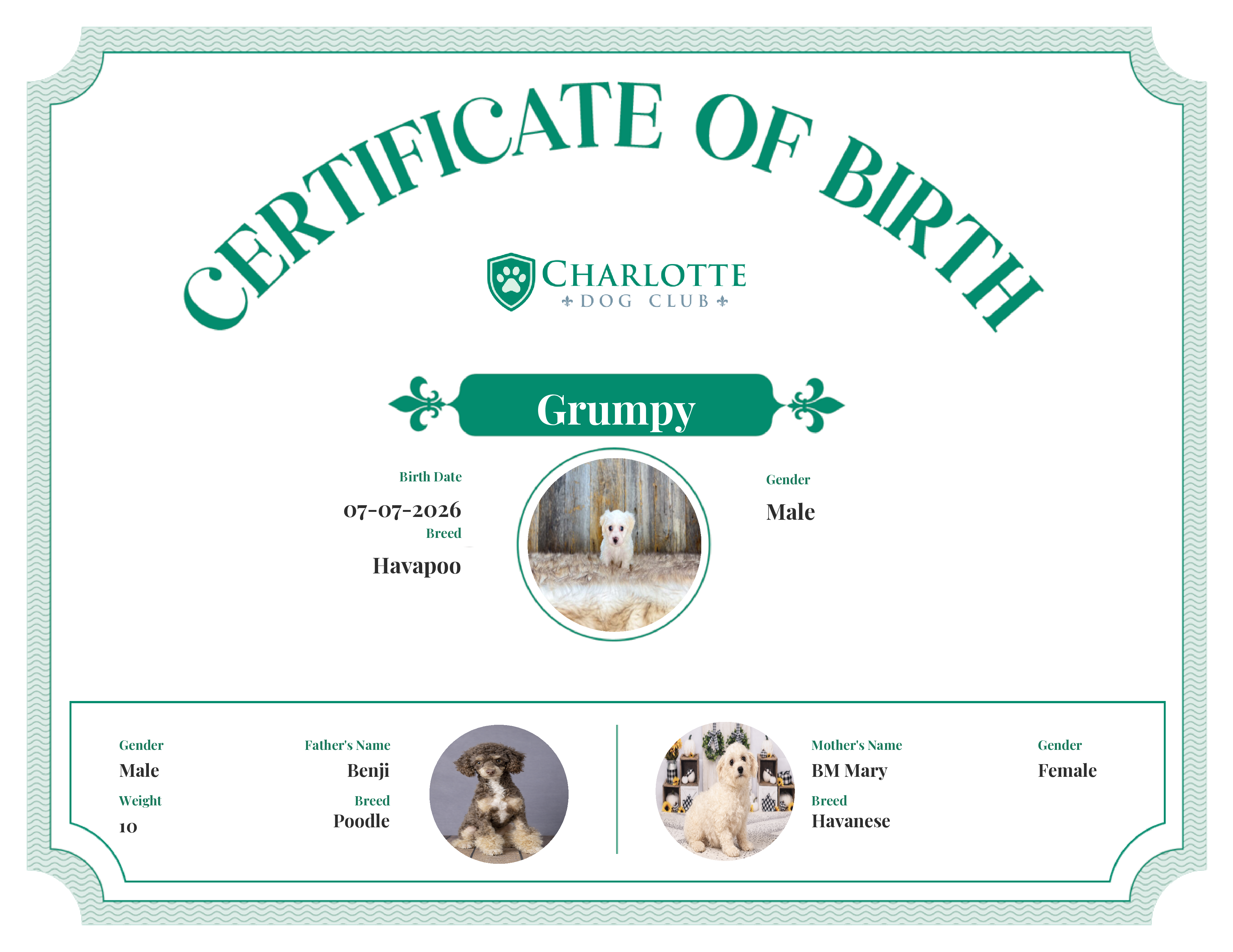Grumpy's Birth Certificate