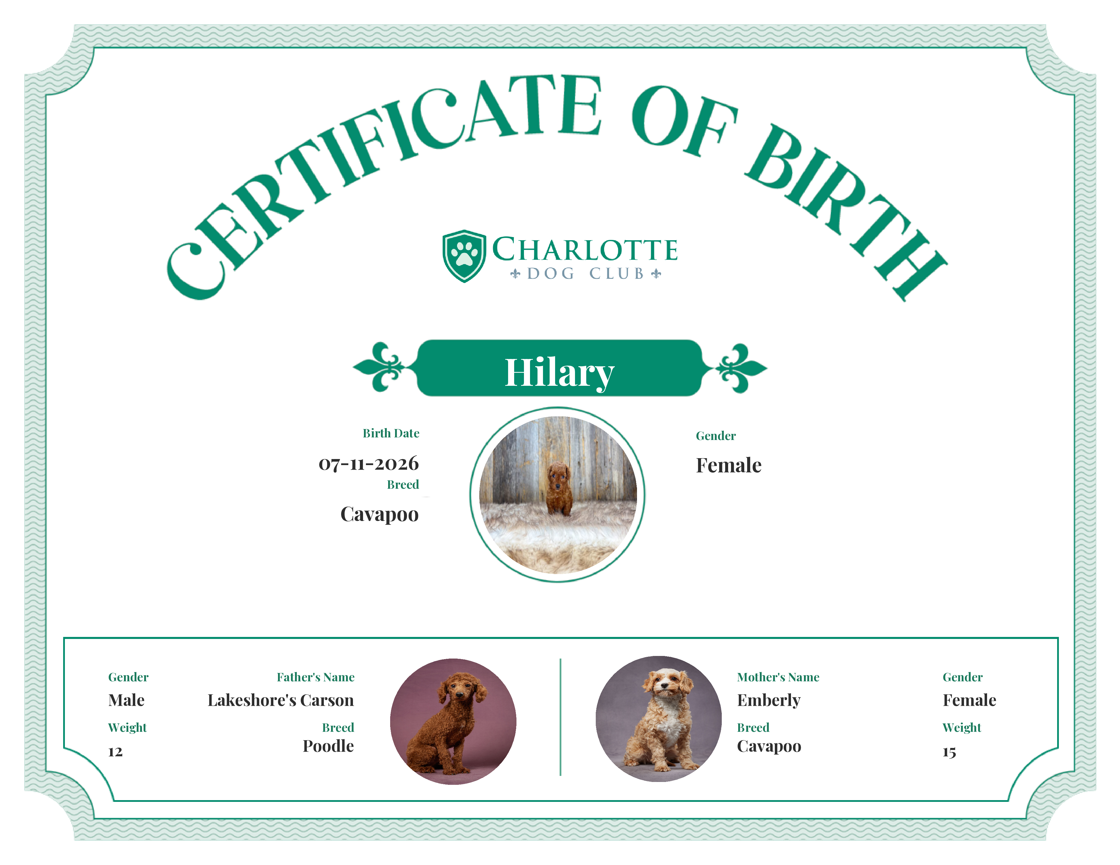 Hilary's Birth Certificate
