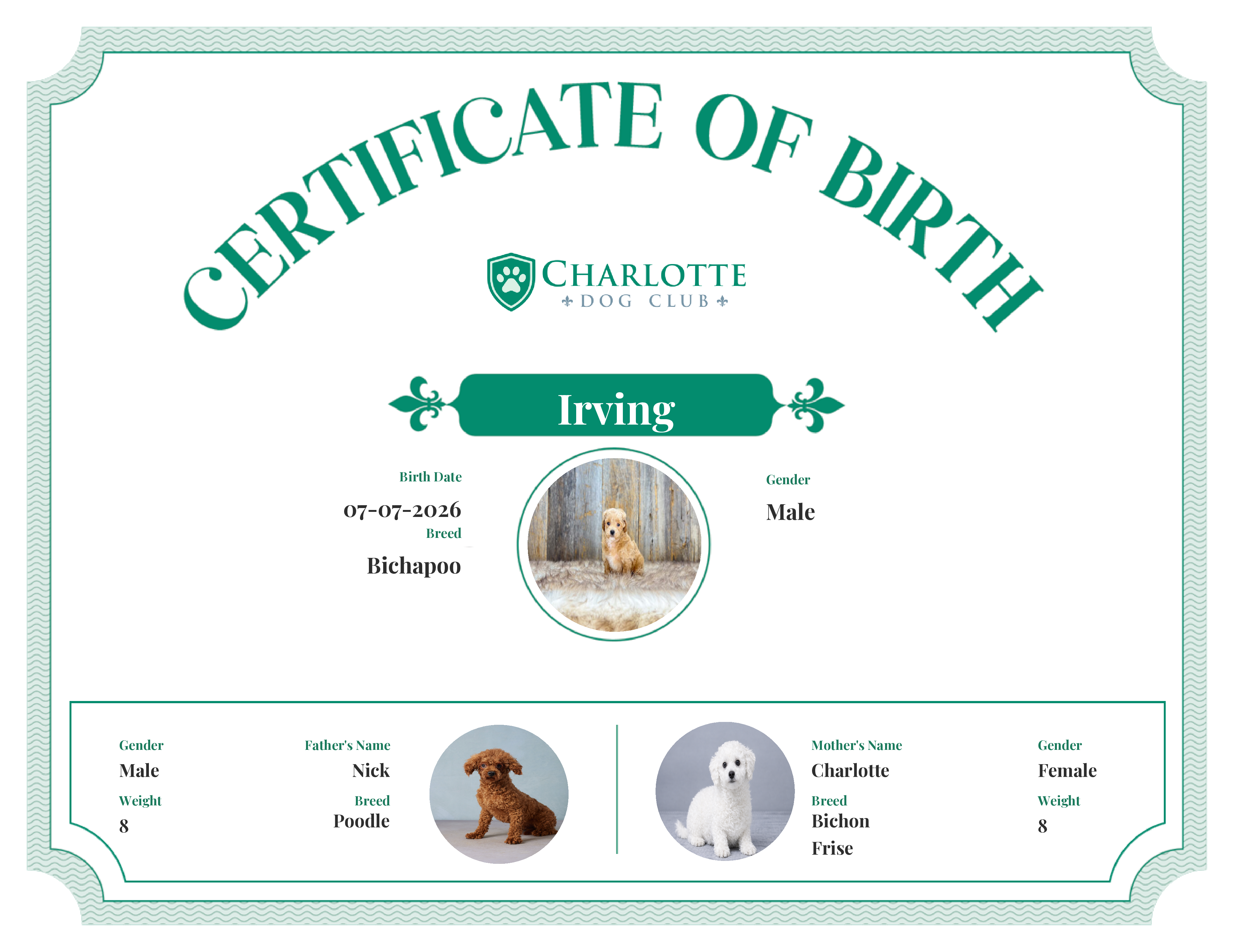 Irving's Birth Certificate
