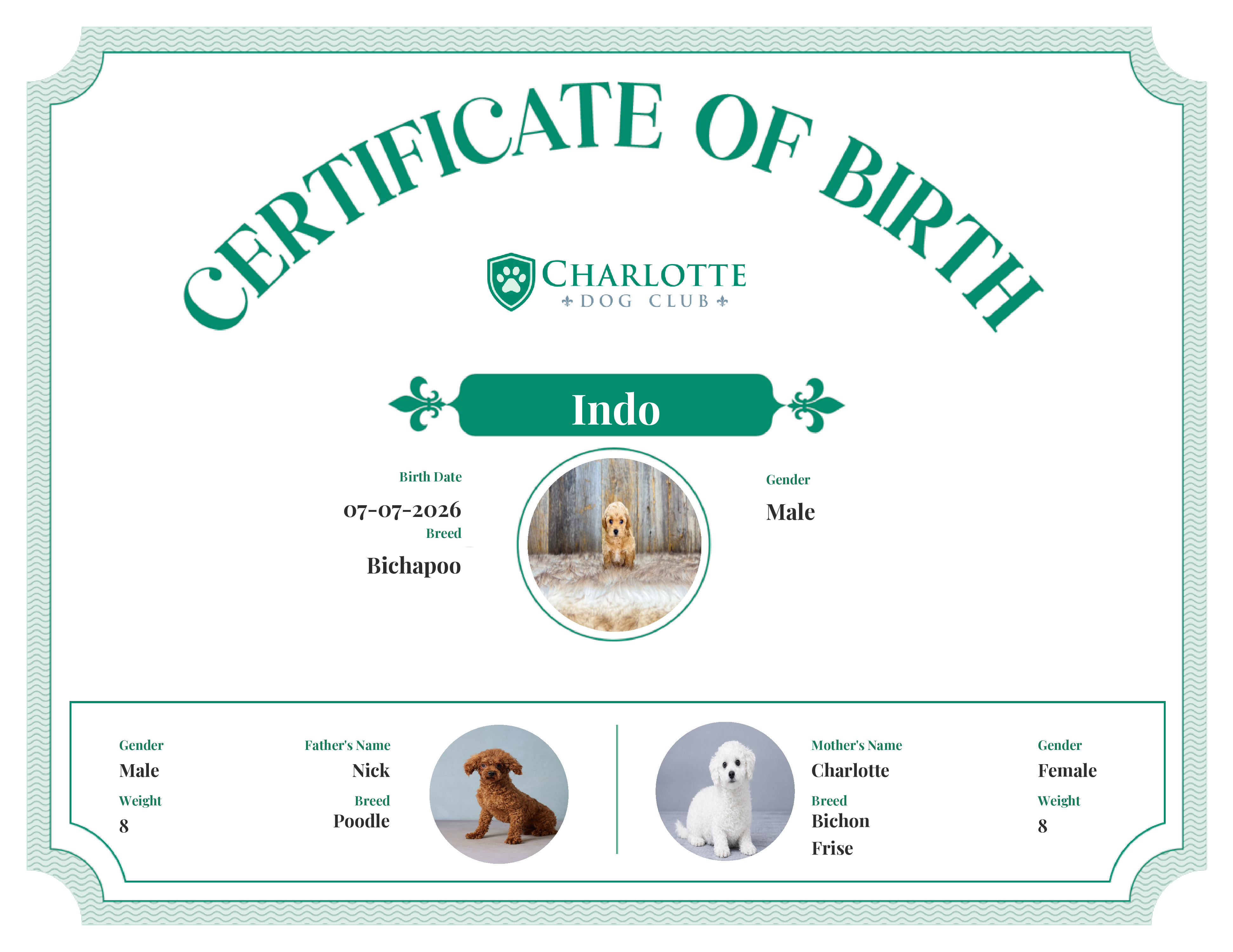 Indo's Birth Certificate