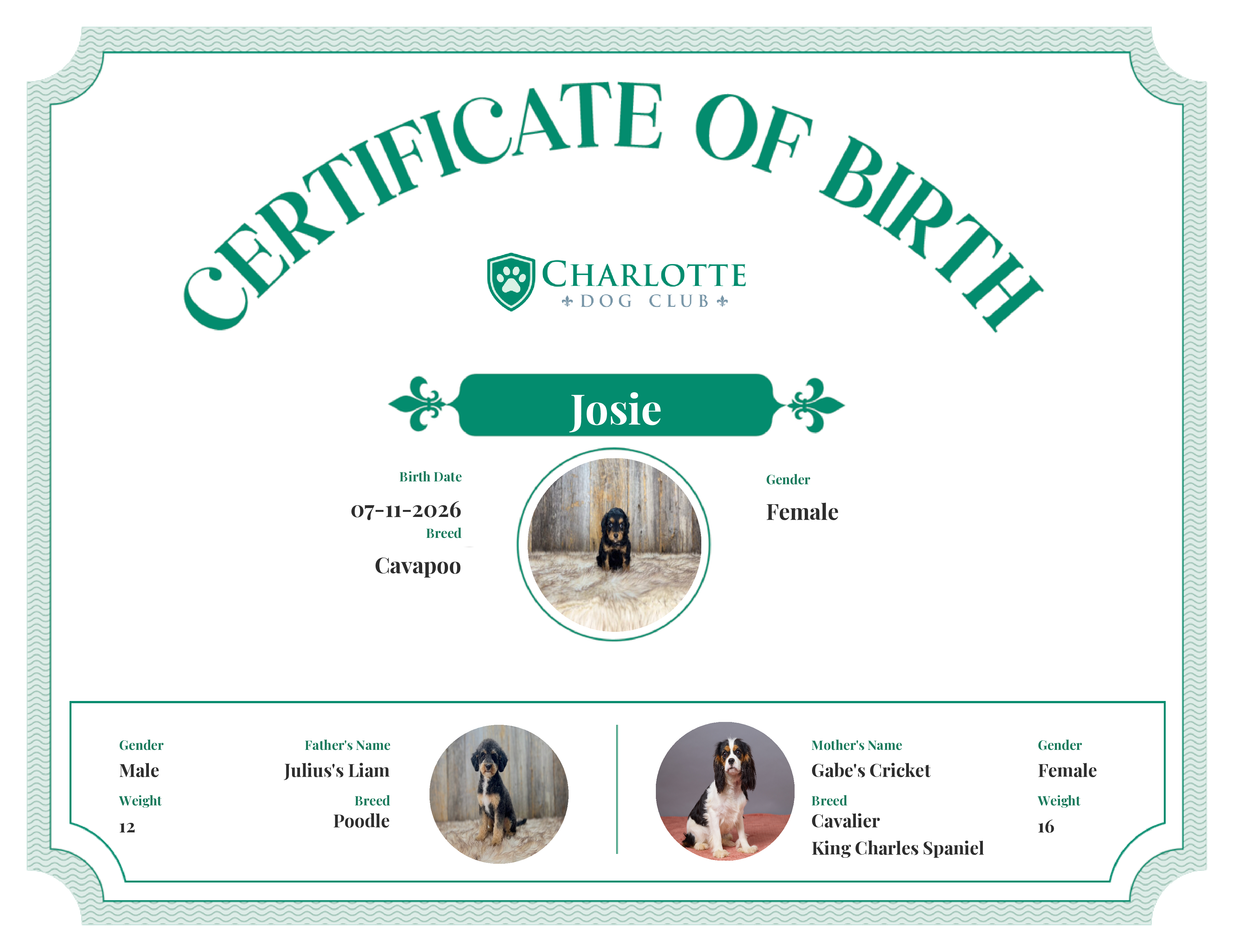 Josie's Birth Certificate