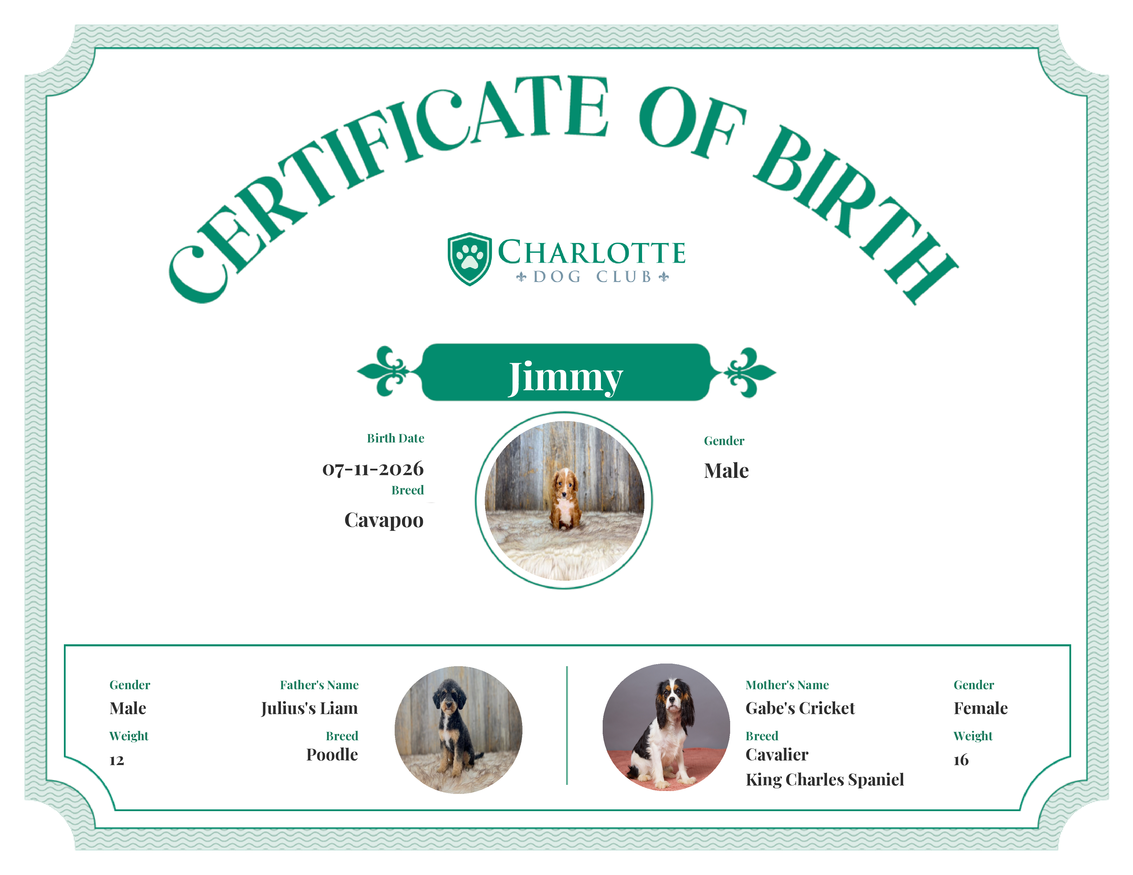 Jimmy's Birth Certificate