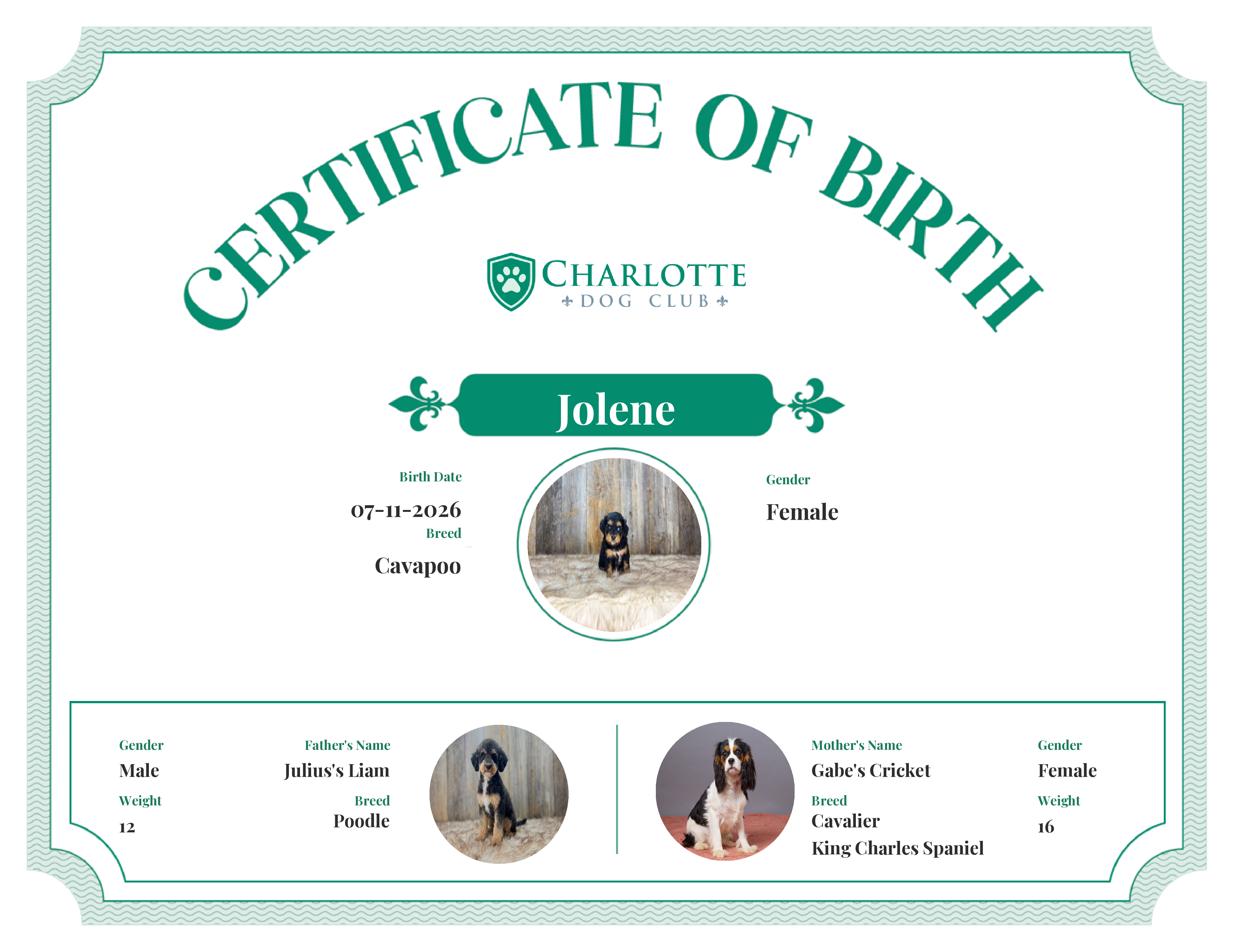 Jolene's Birth Certificate