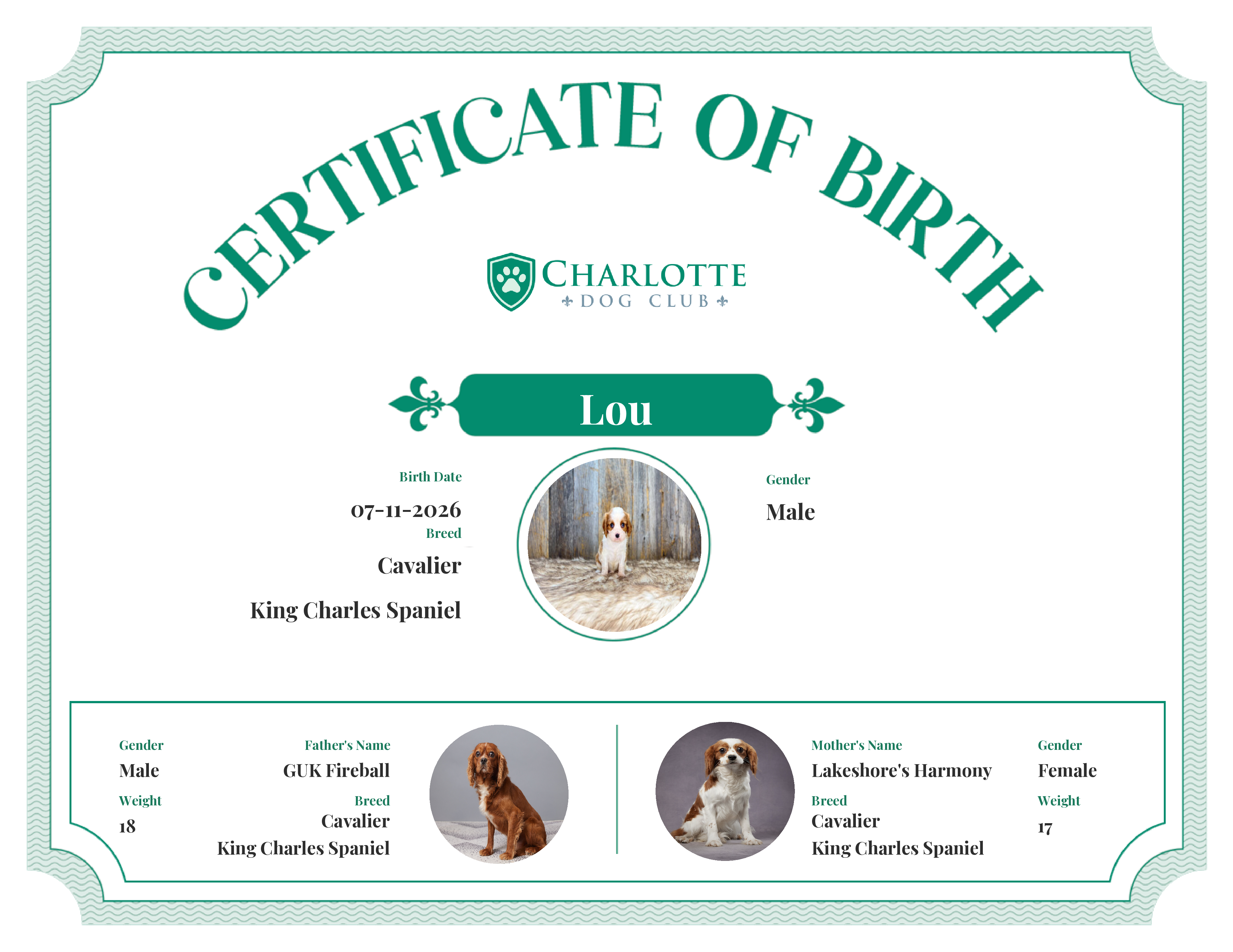 Lou's Birth Certificate