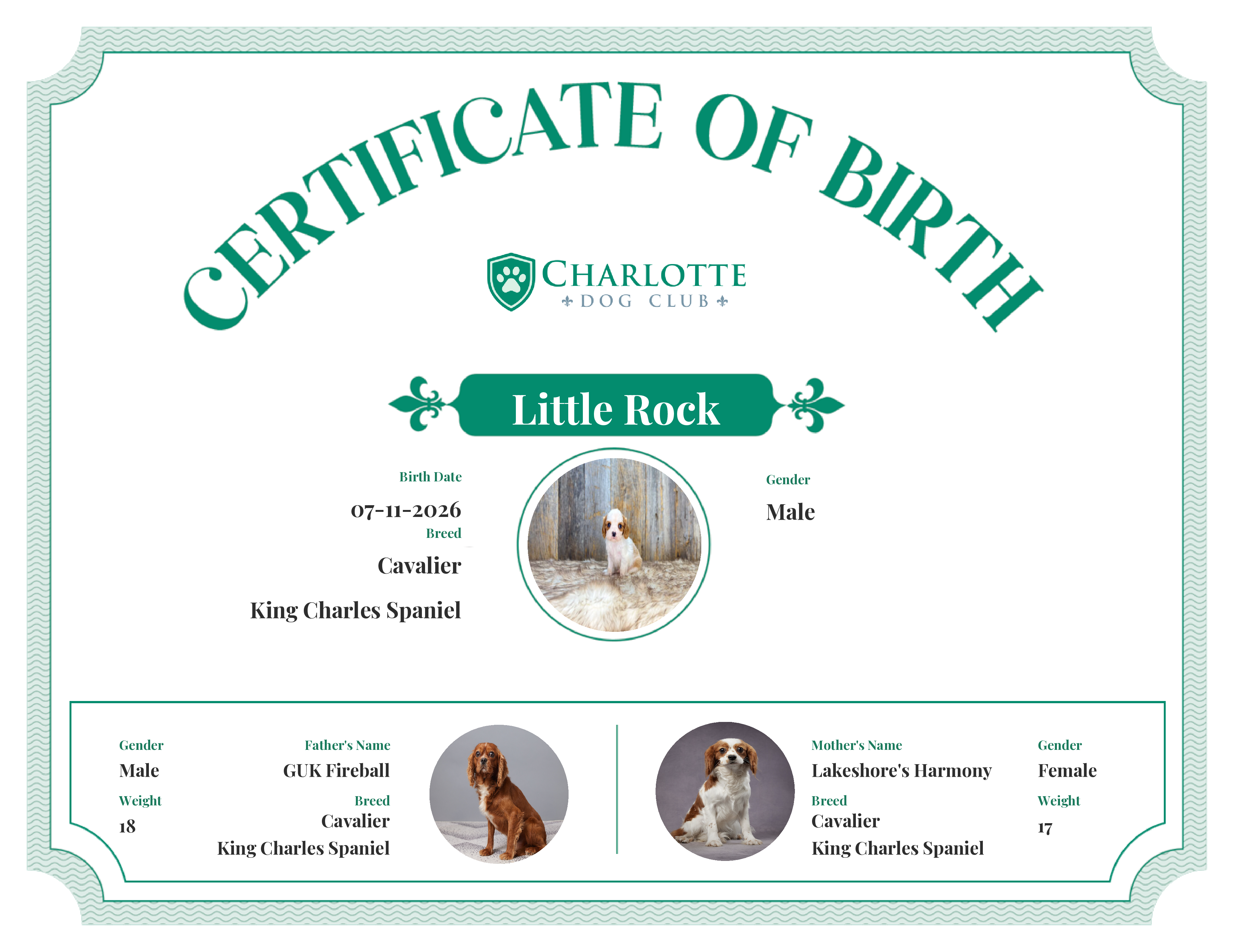 Little Rock's Birth Certificate