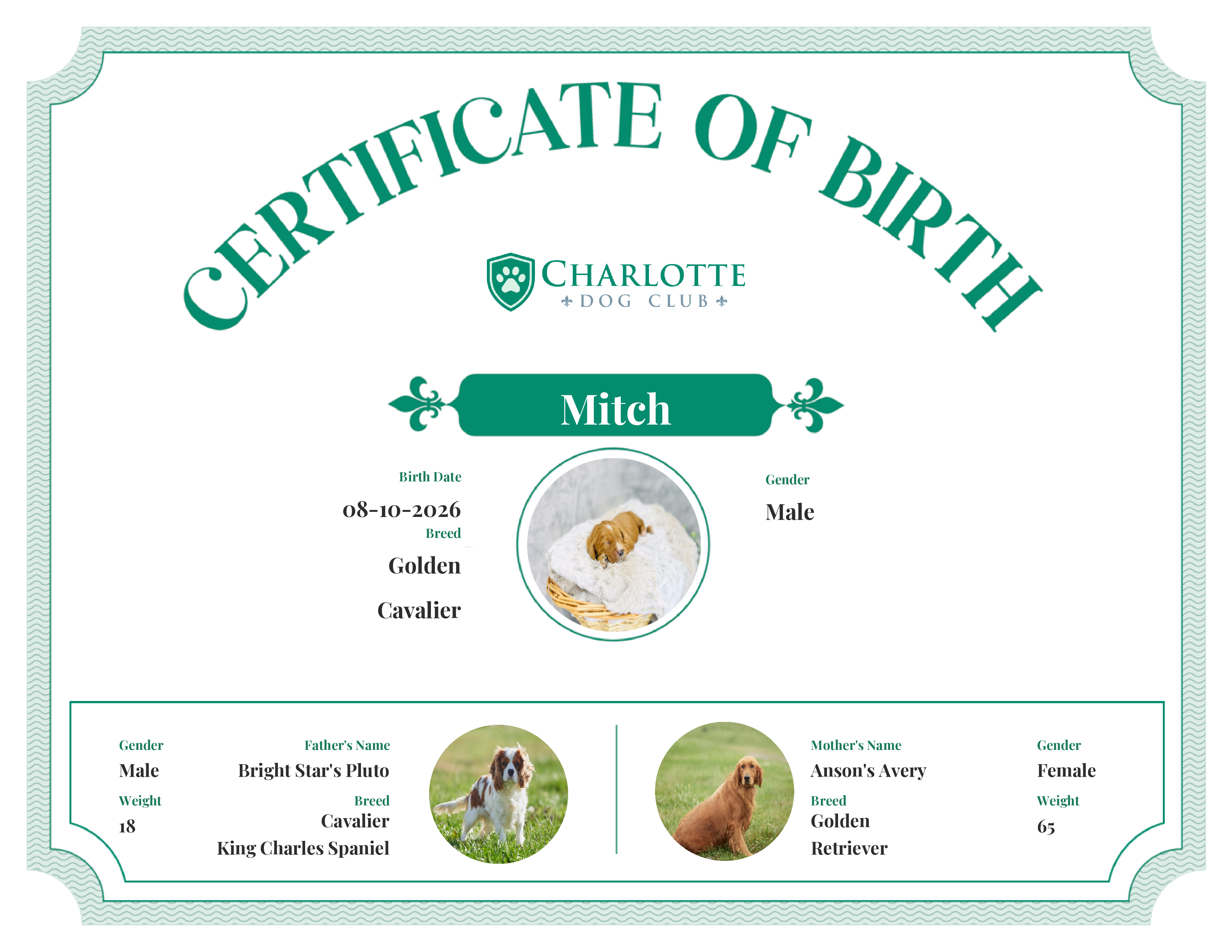 Mitch's Birth Certificate