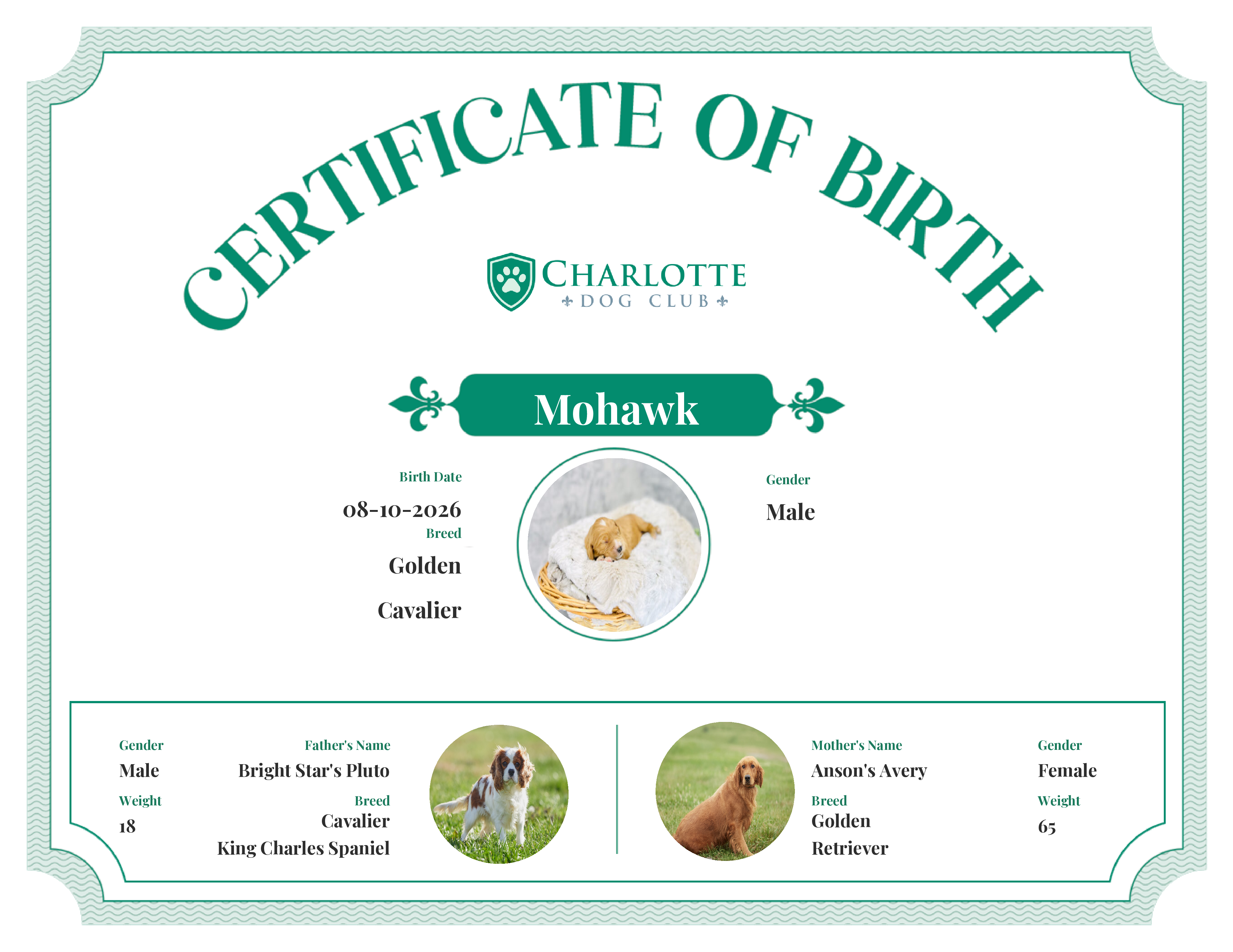 Mohawk's Birth Certificate