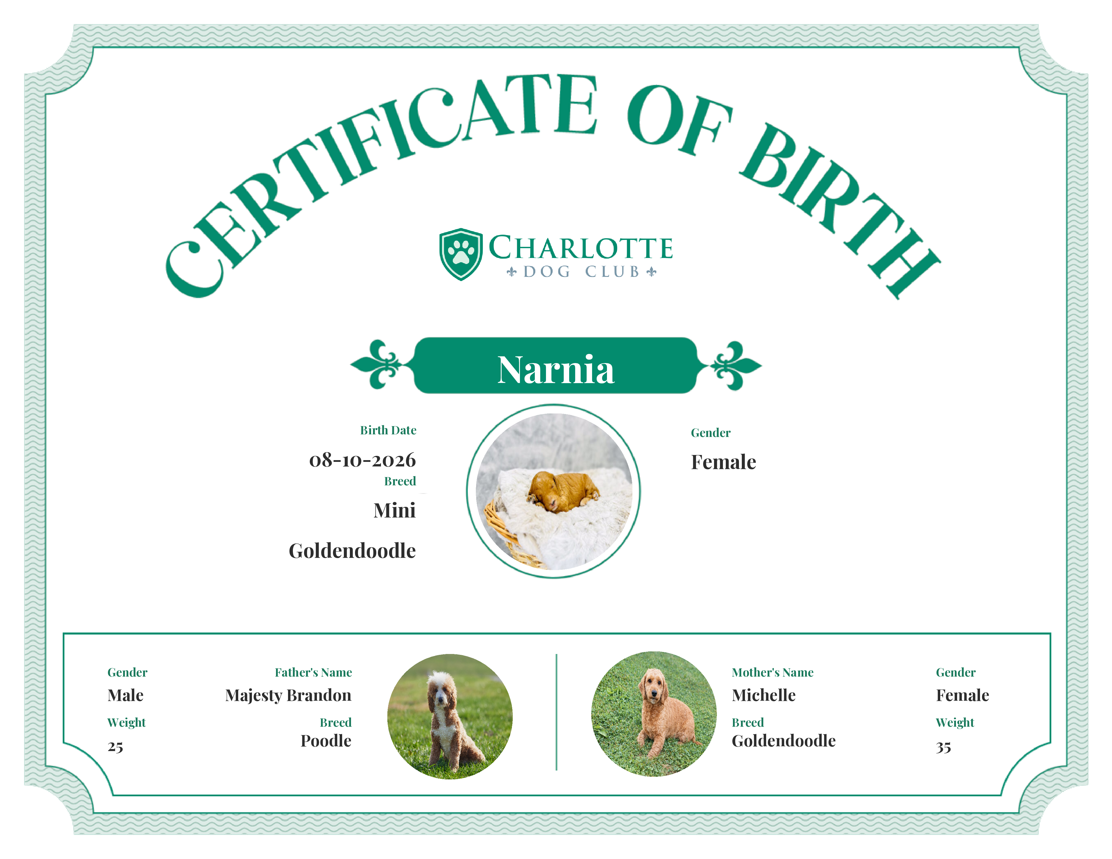 Narnia's Birth Certificate