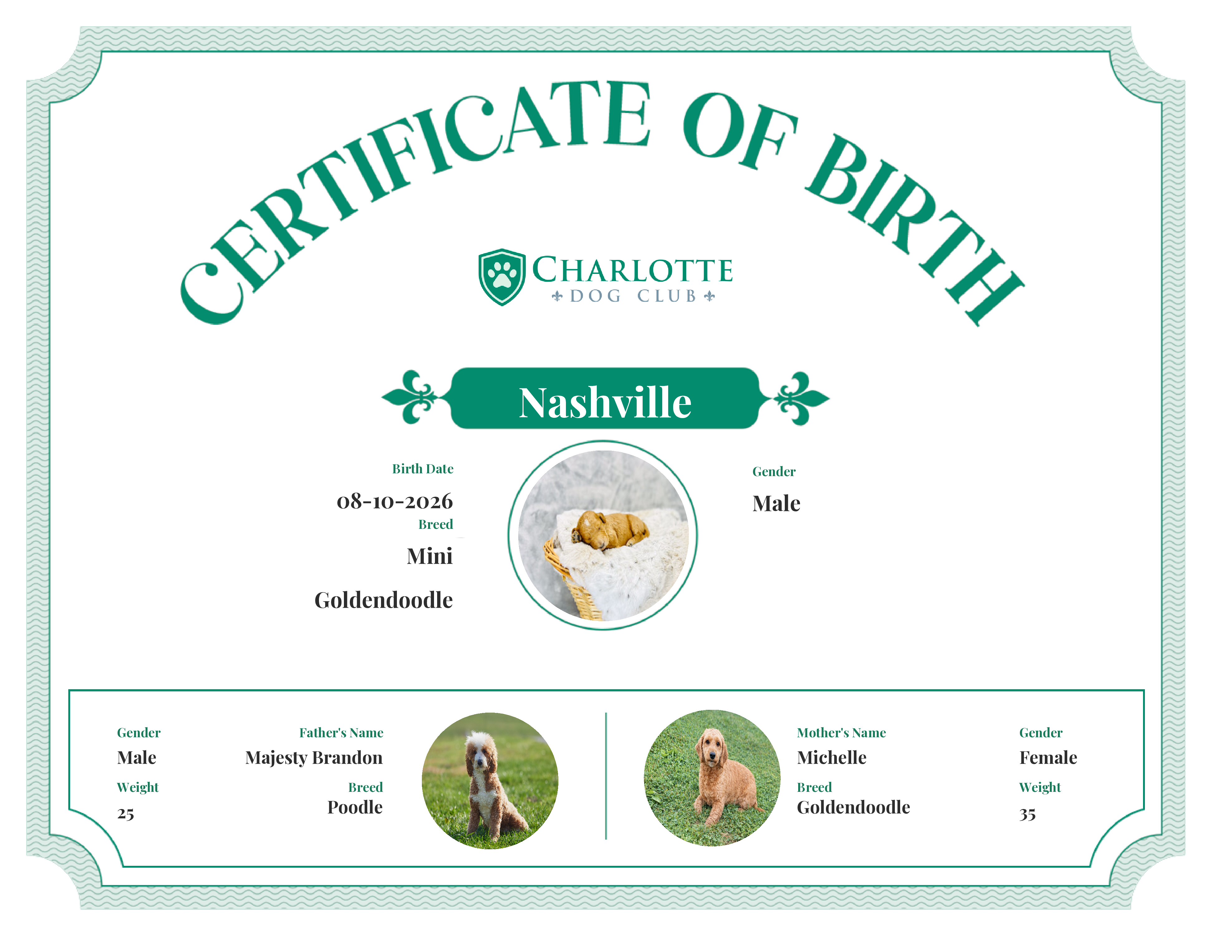Nashville's Birth Certificate