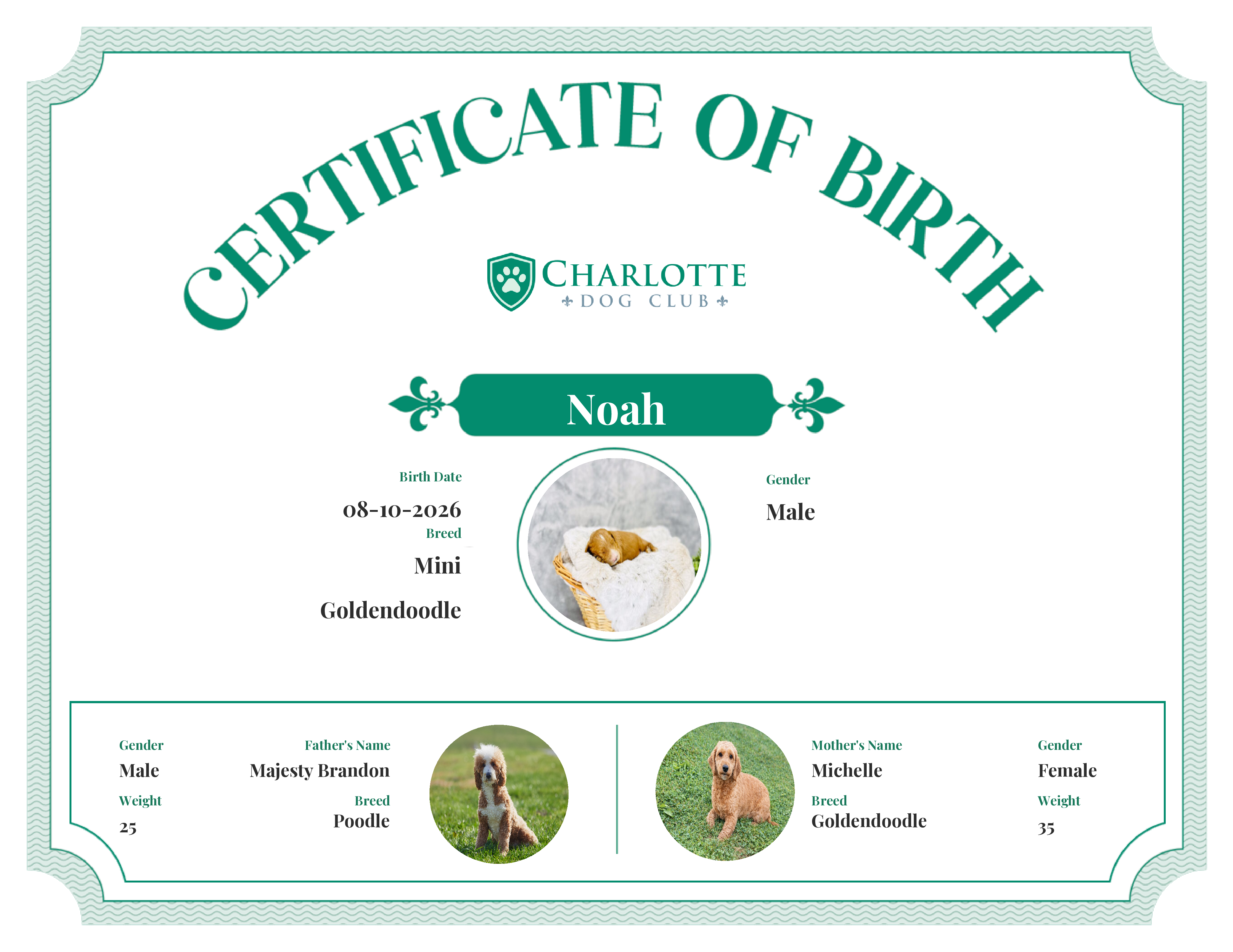 Noah's Birth Certificate