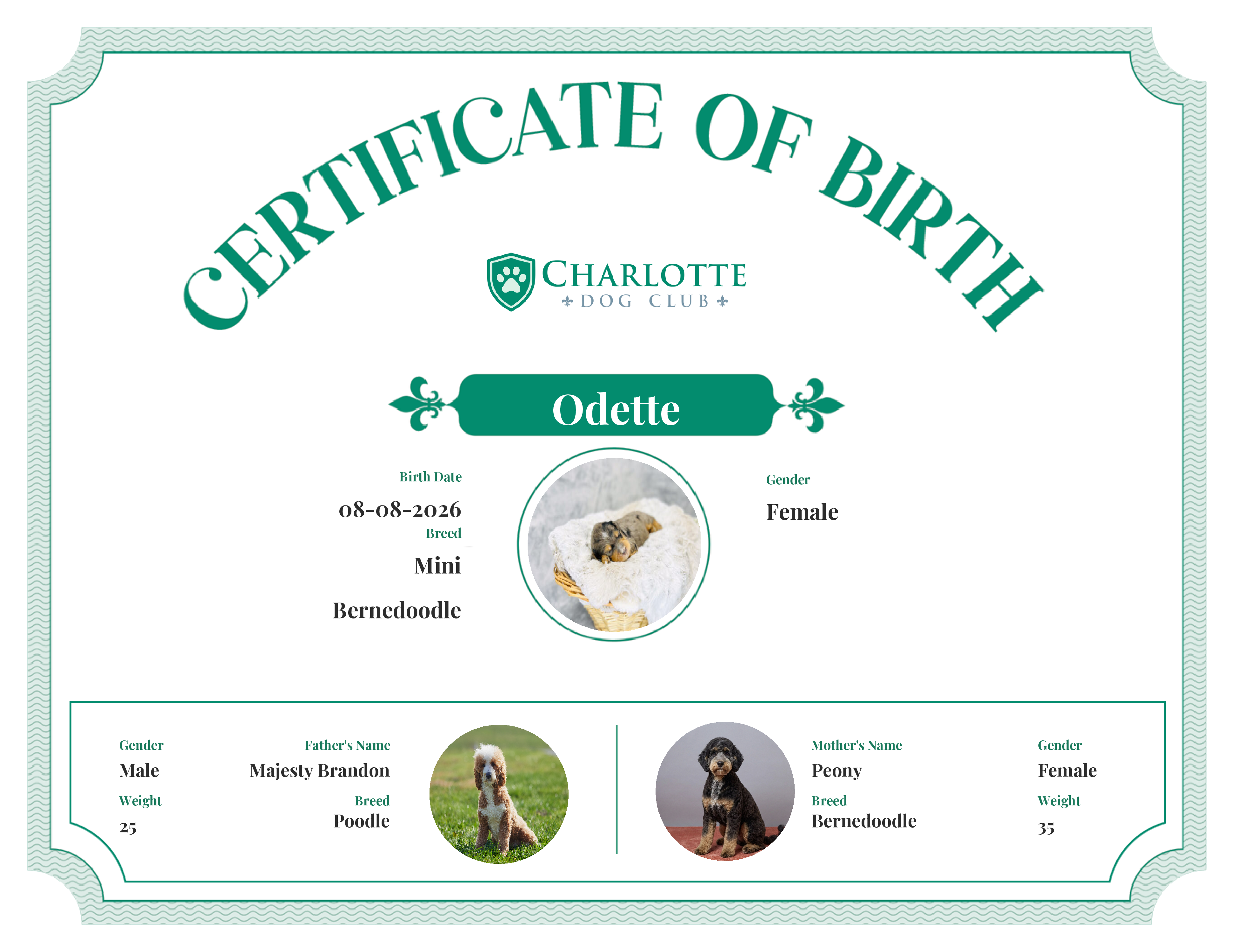 Odette's Birth Certificate