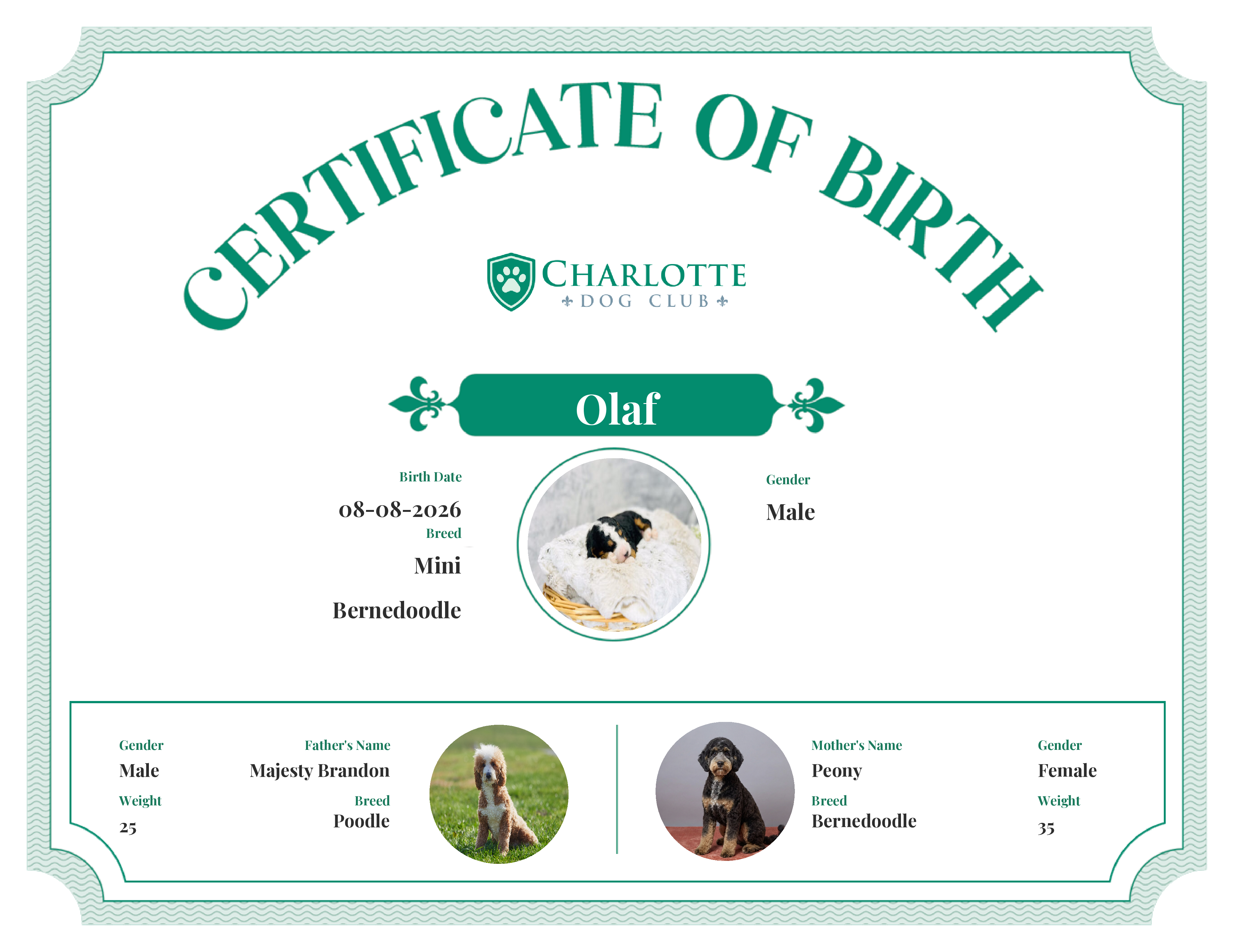 Olaf's Birth Certificate
