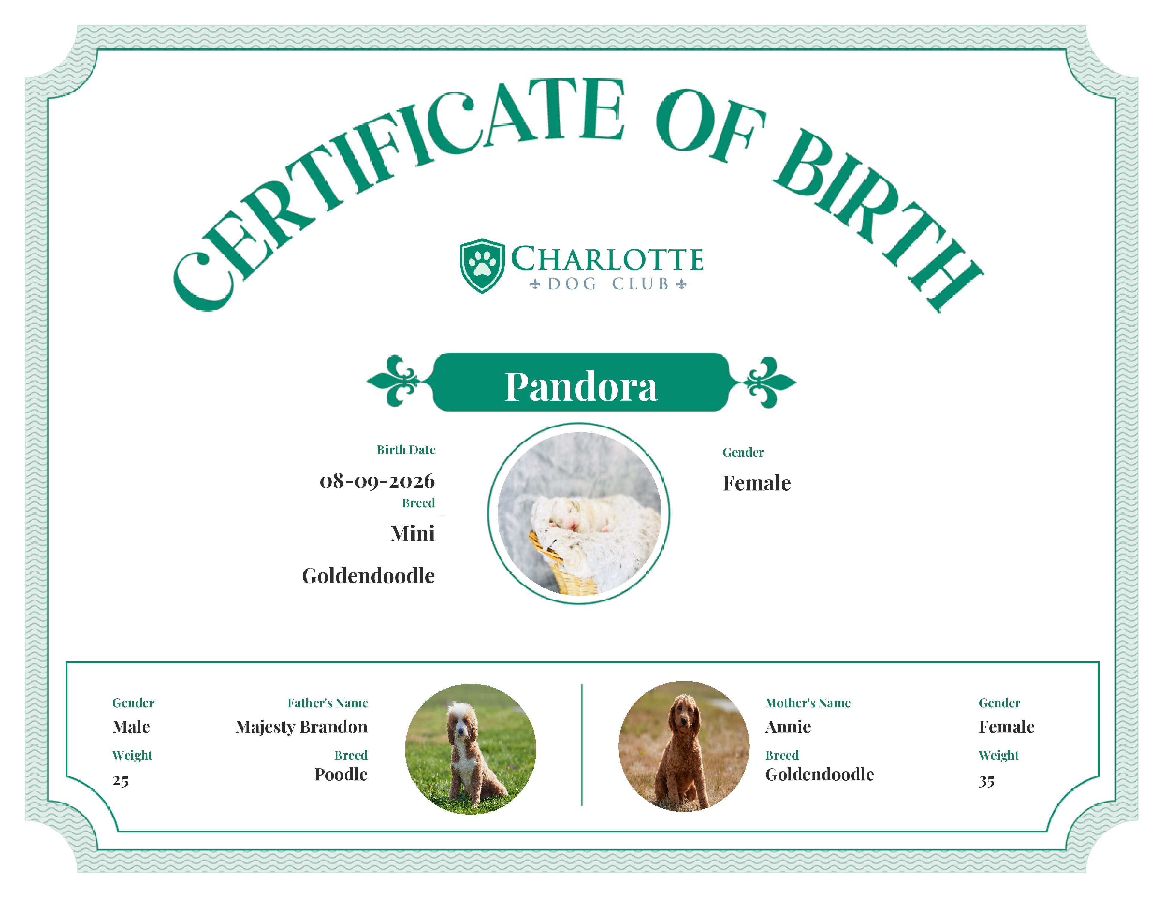 Pandora's Birth Certificate