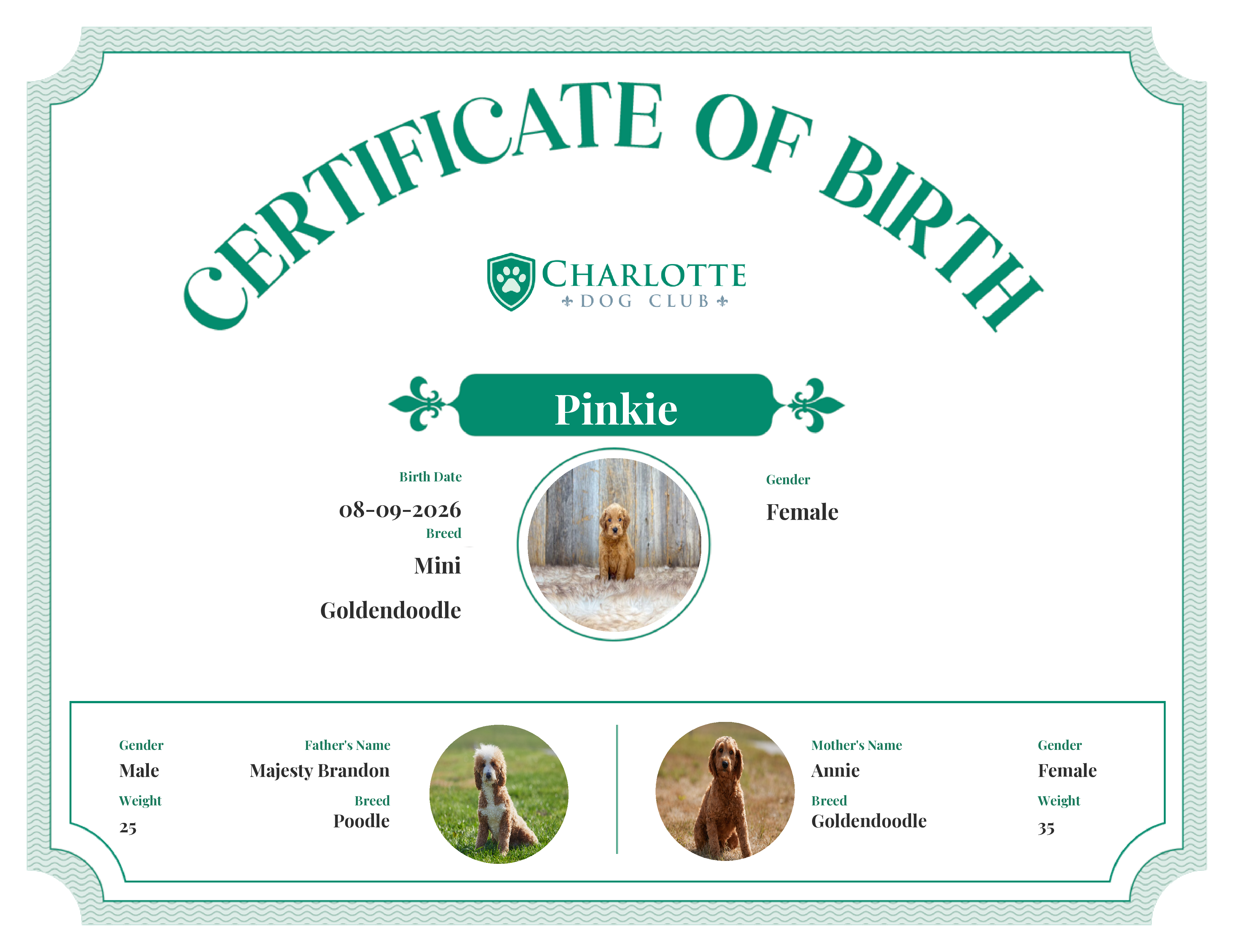 Pinkie's Birth Certificate
