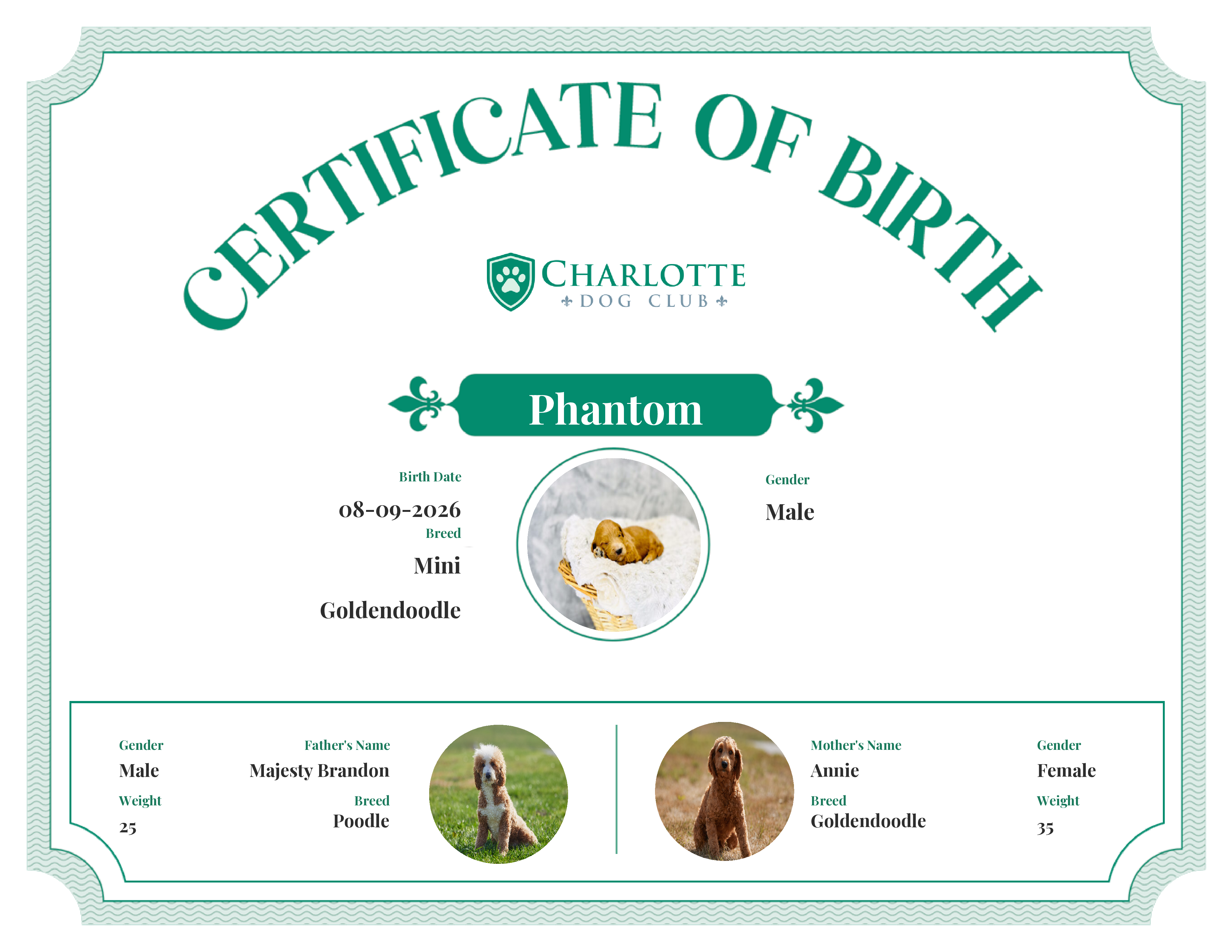Phantom's Birth Certificate