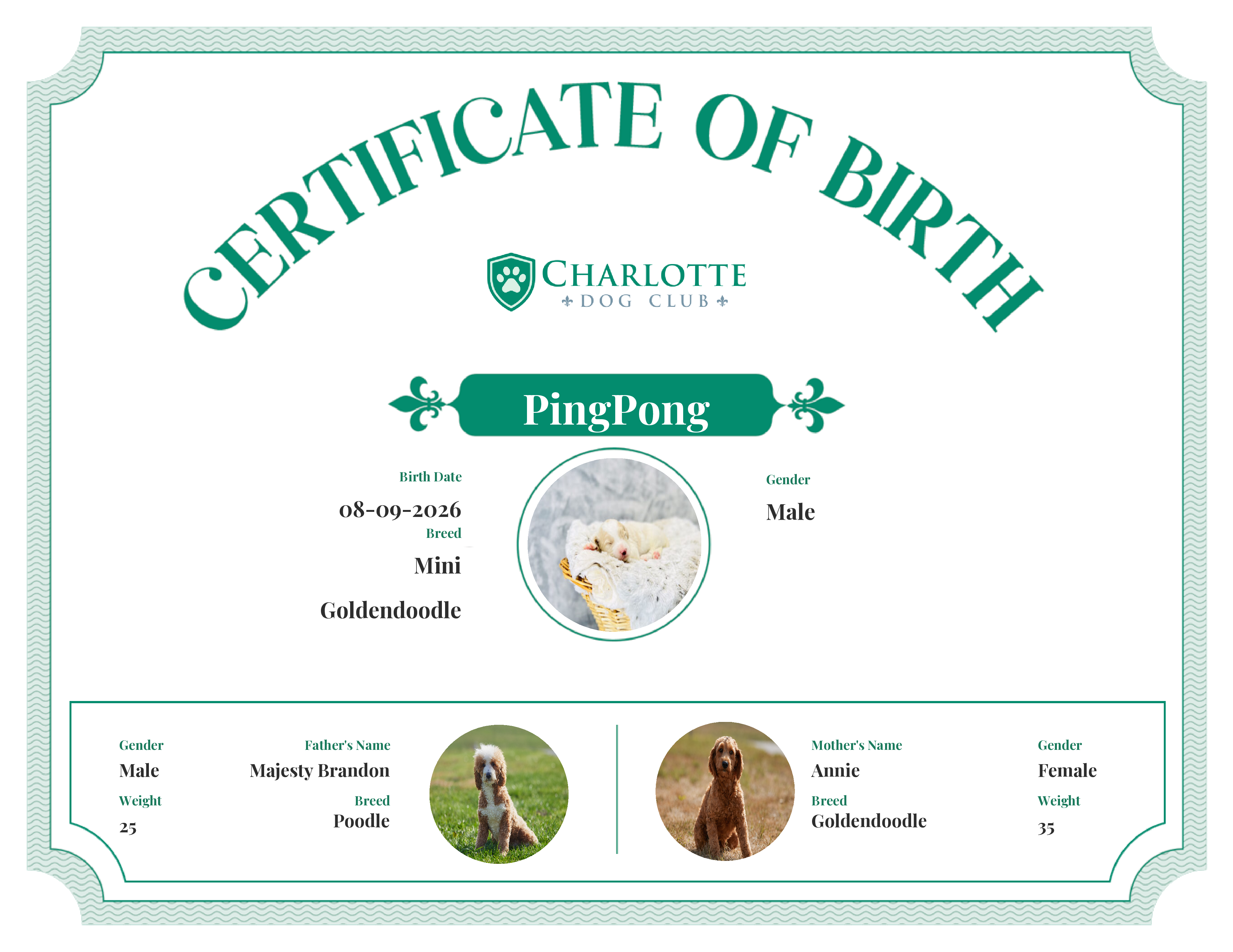 PingPong's Birth Certificate