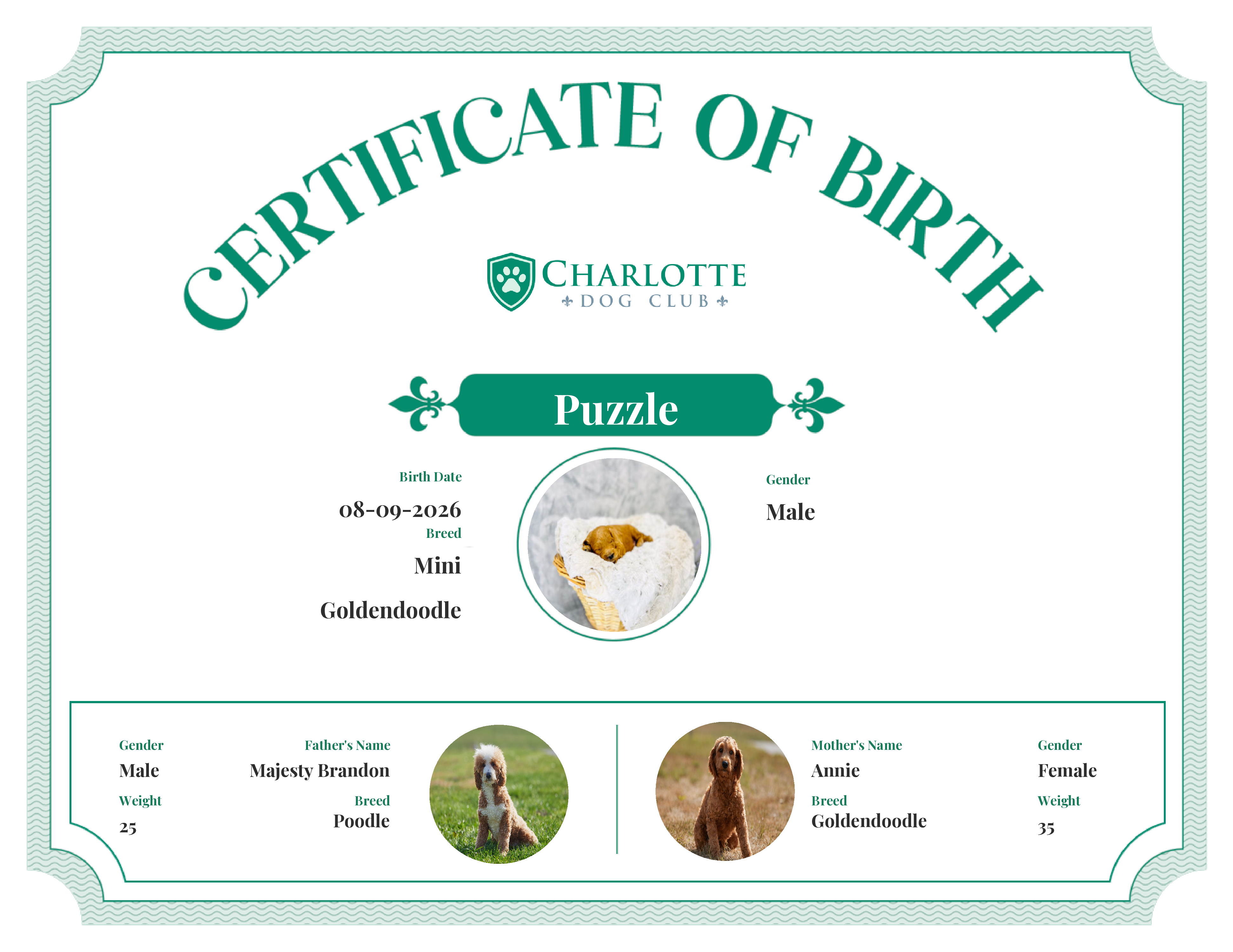 Puzzle's Birth Certificate