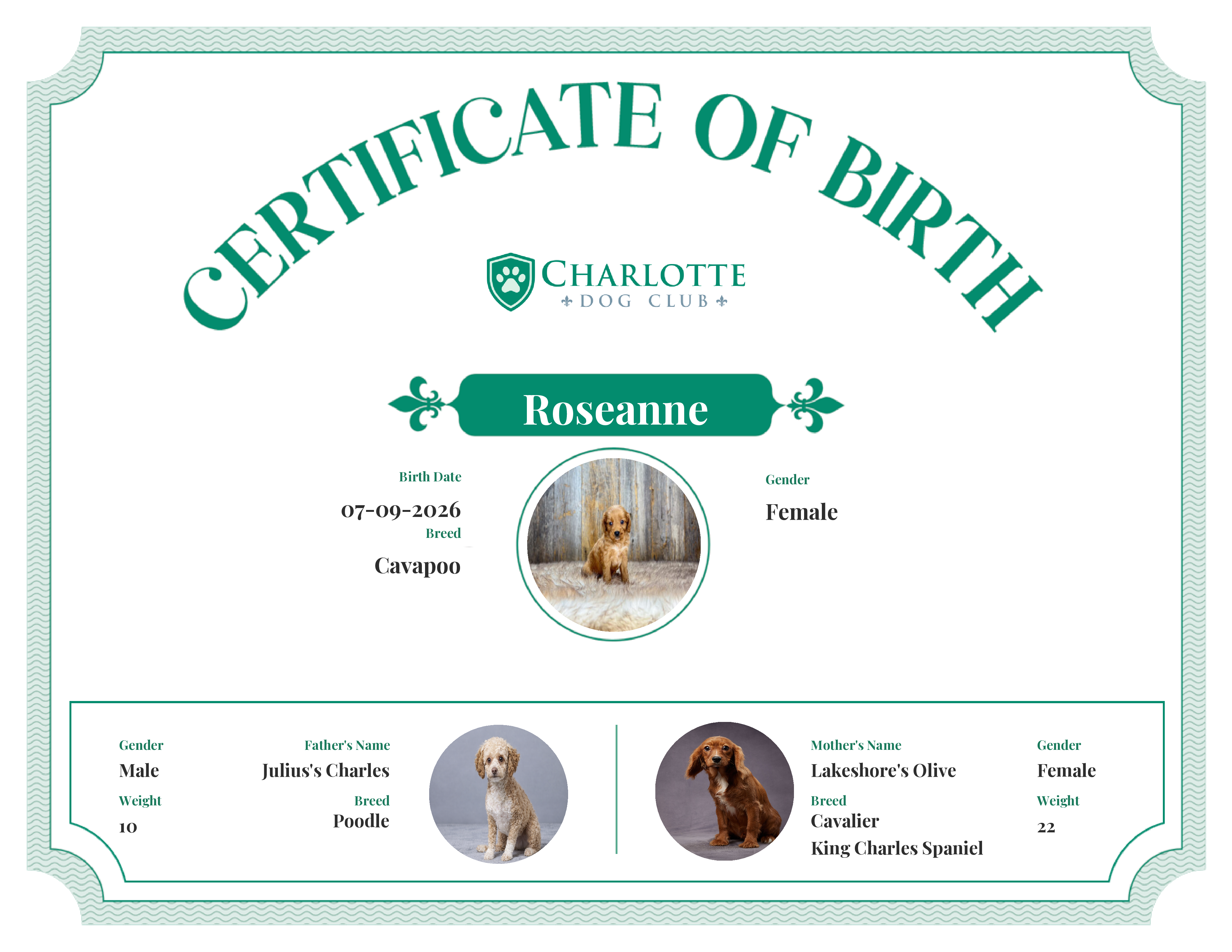 Roseanne's Birth Certificate