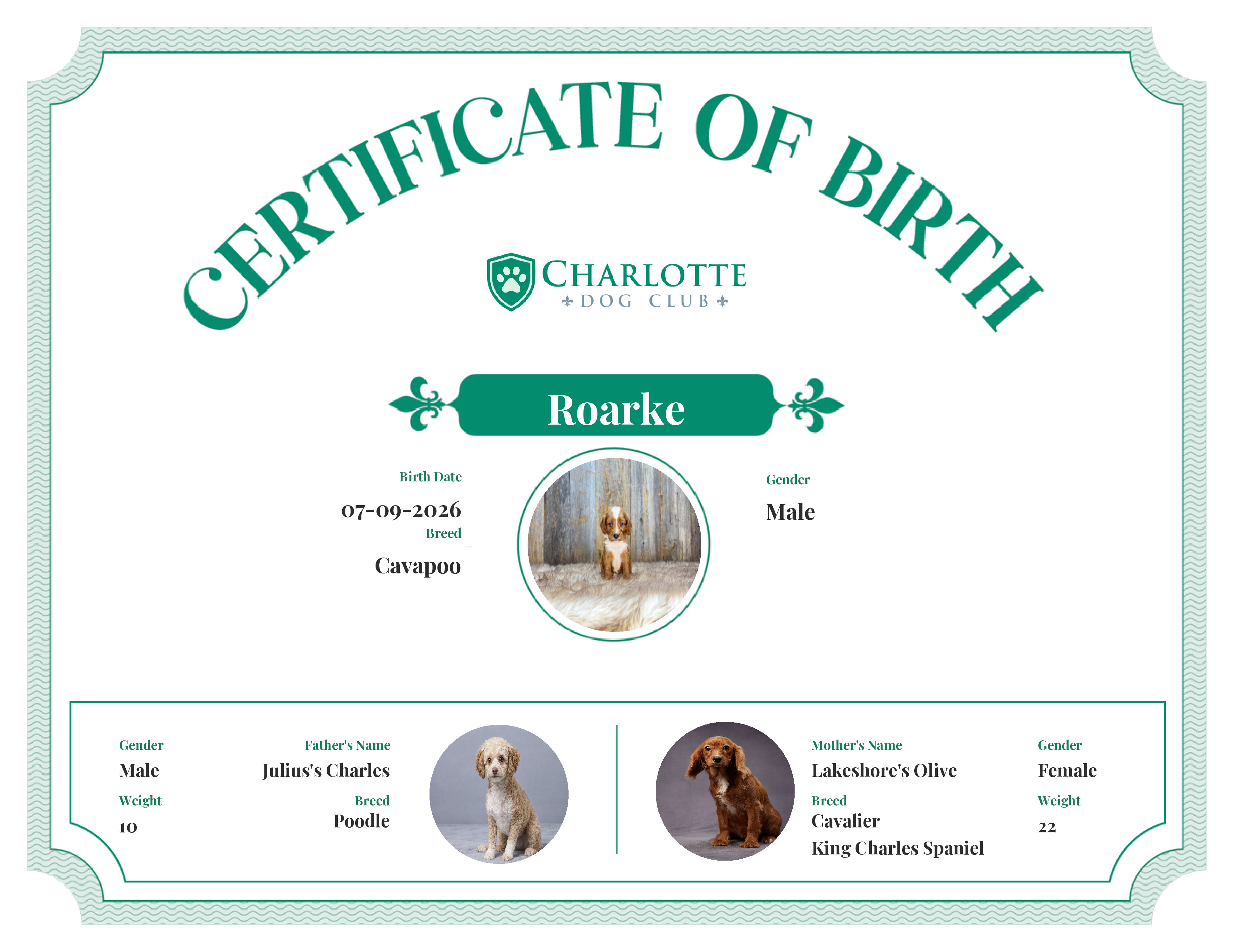 Roarke's Birth Certificate