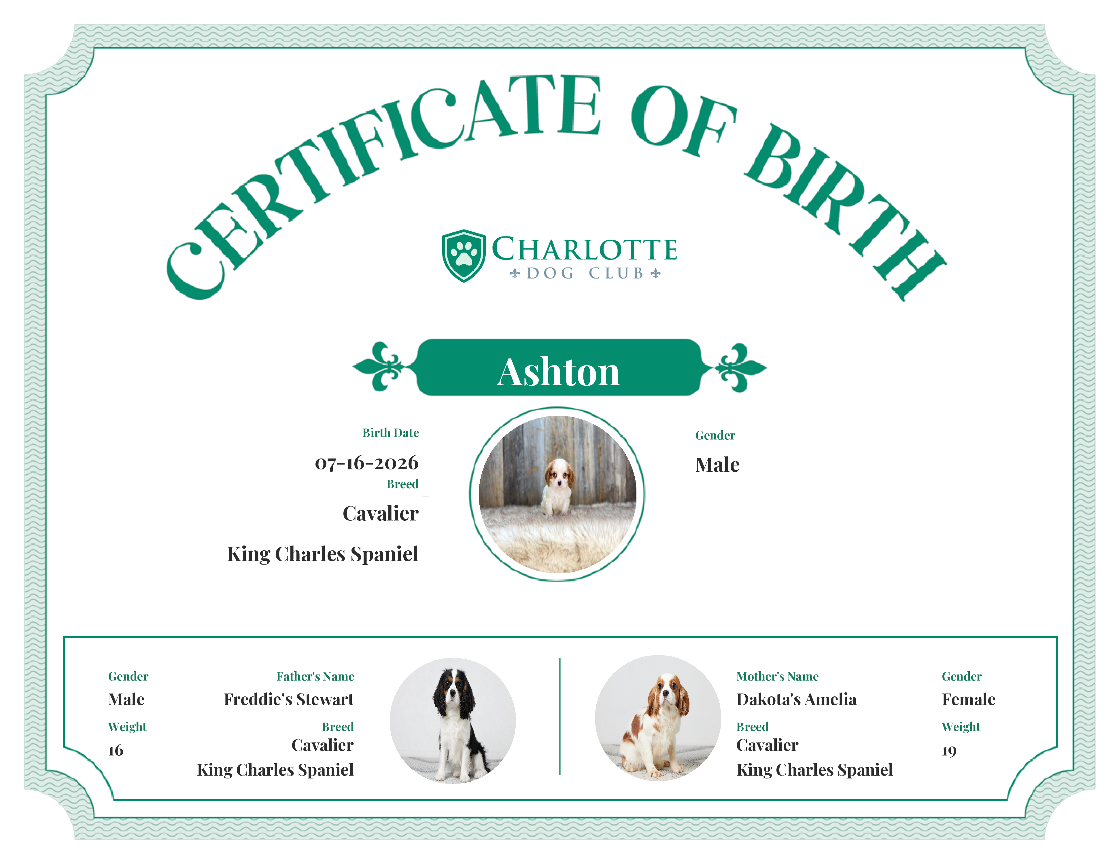 Ashton's Birth Certificate