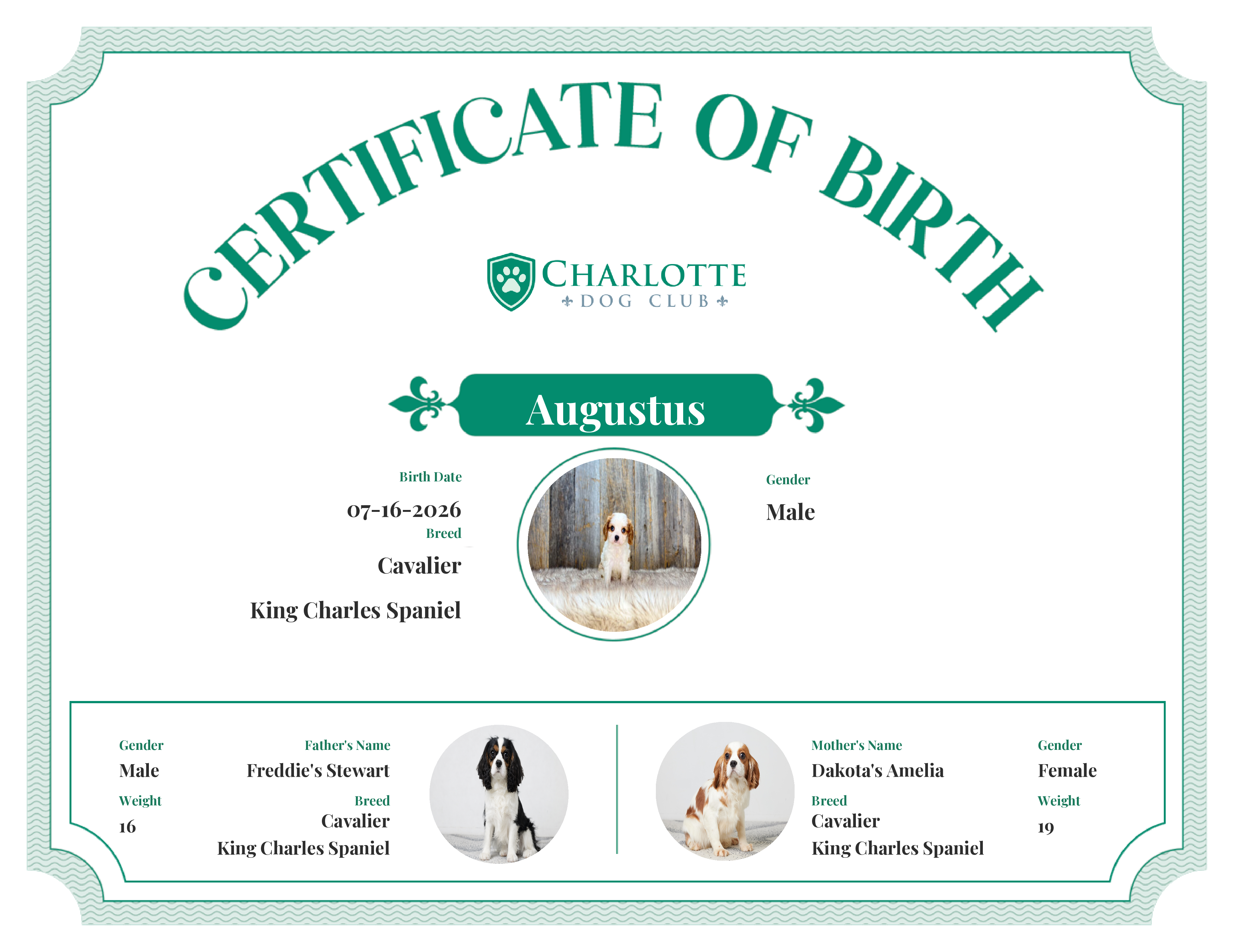 Augustus's Birth Certificate