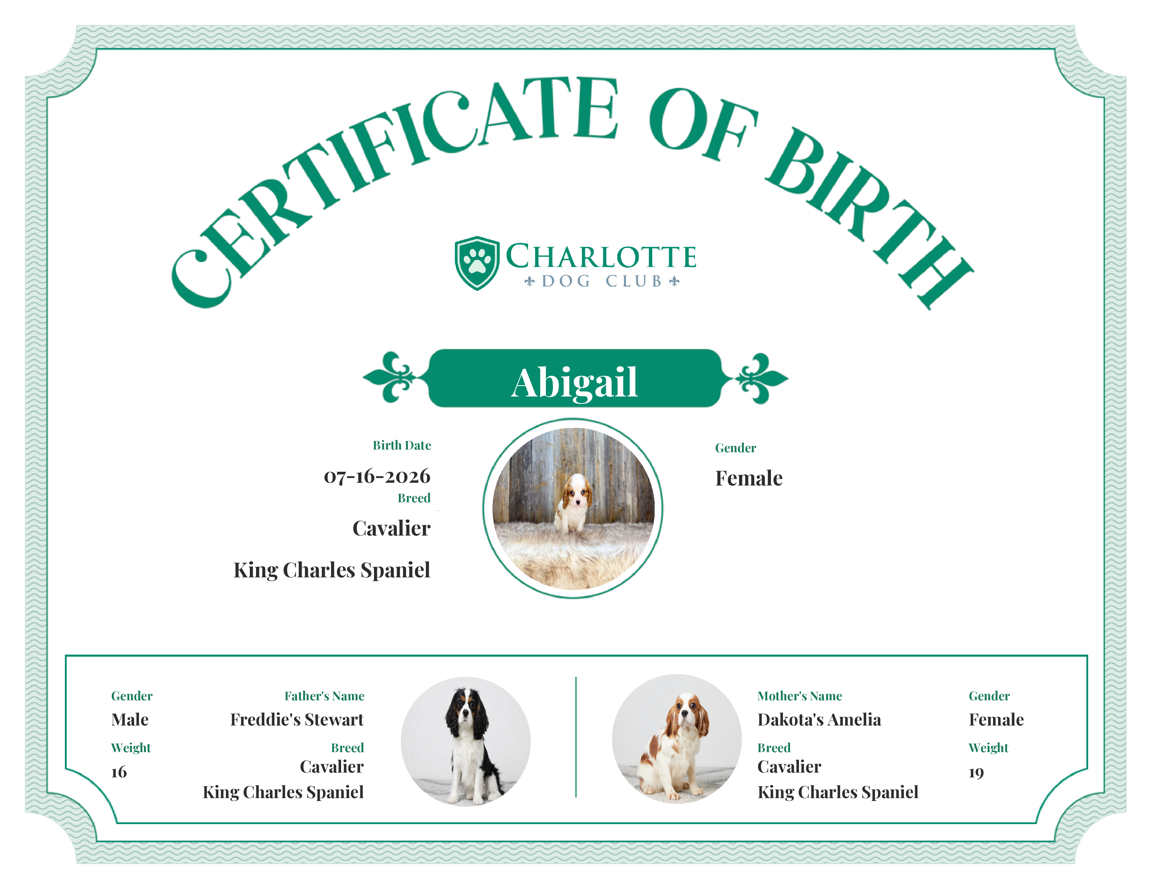 Abigail's Birth Certificate
