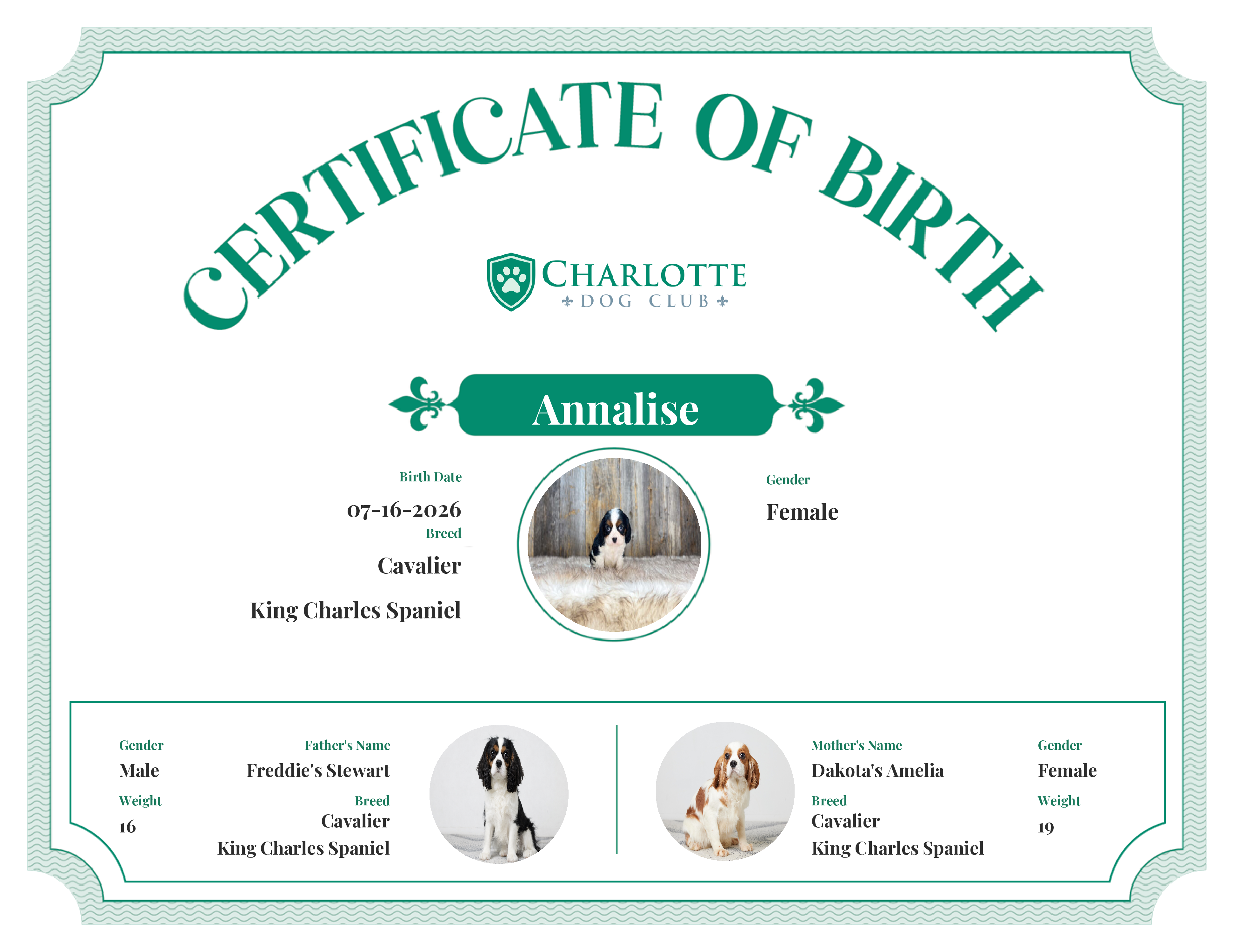 Annalise's Birth Certificate