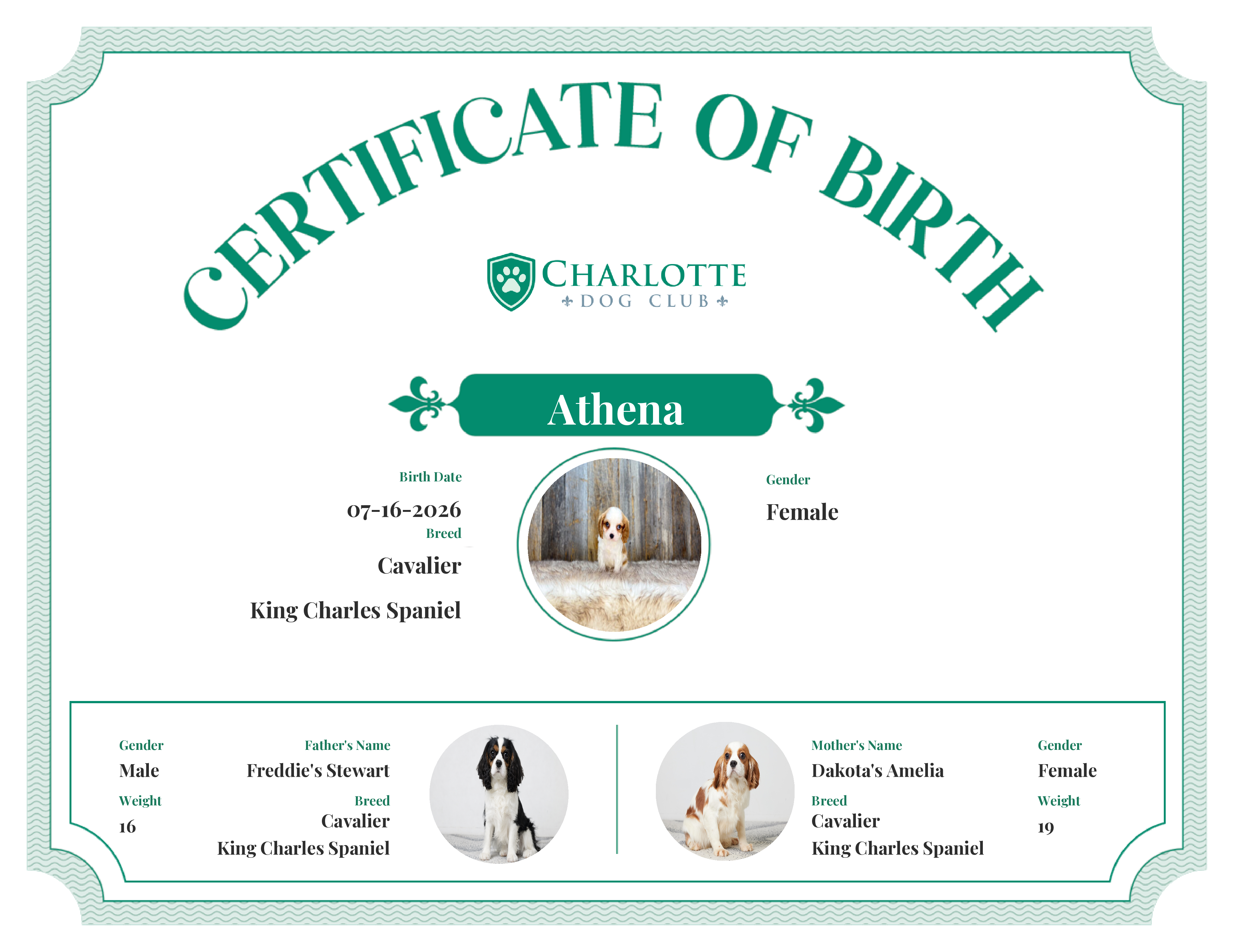 Athena's Birth Certificate