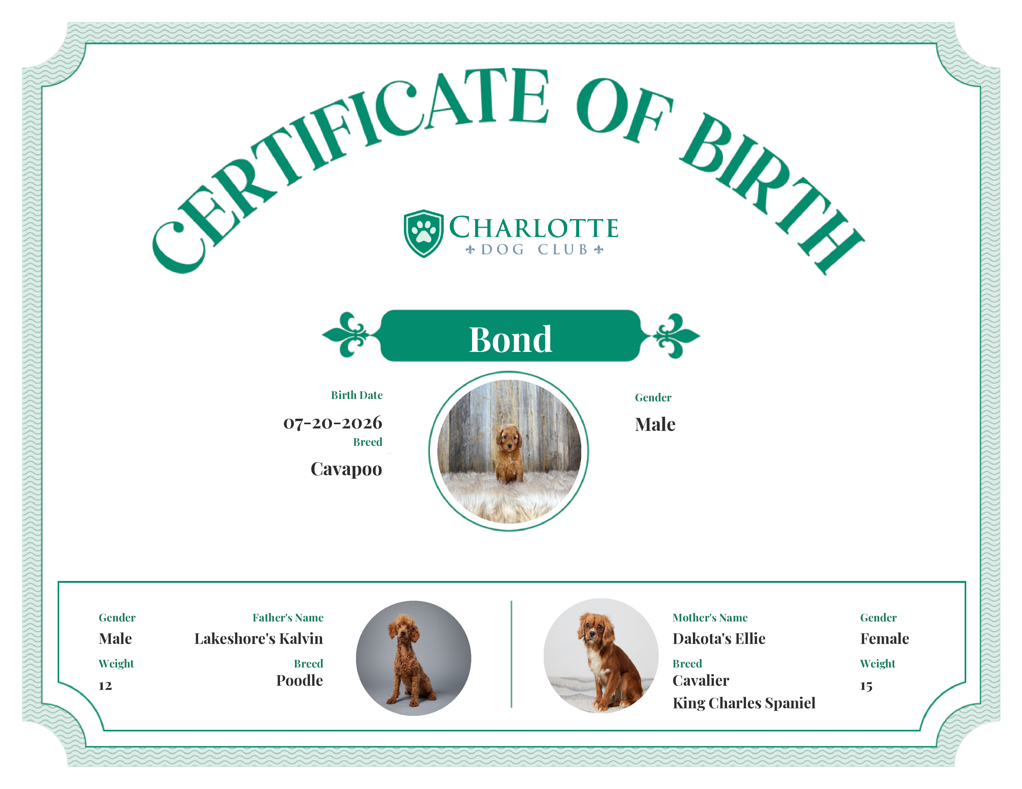 Bond's Birth Certificate