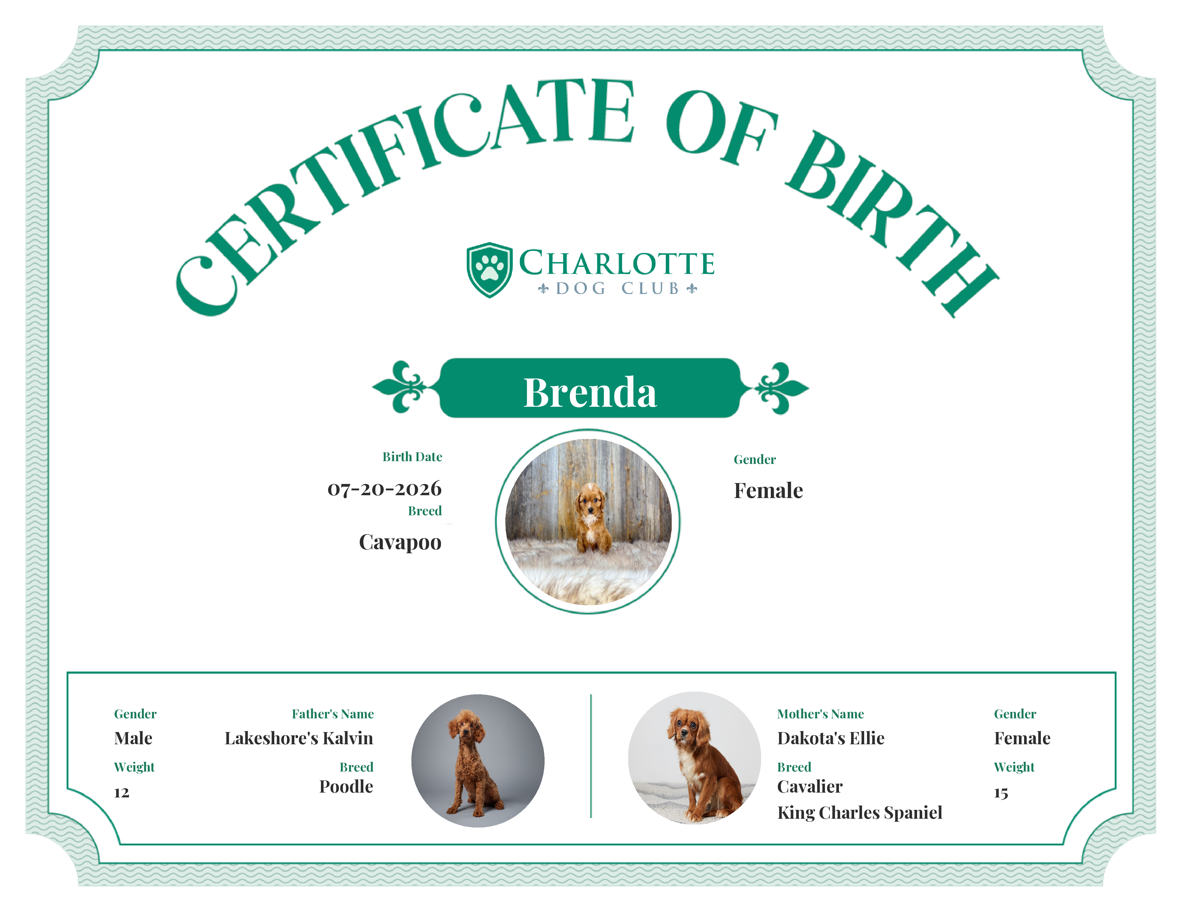 Brenda's Birth Certificate