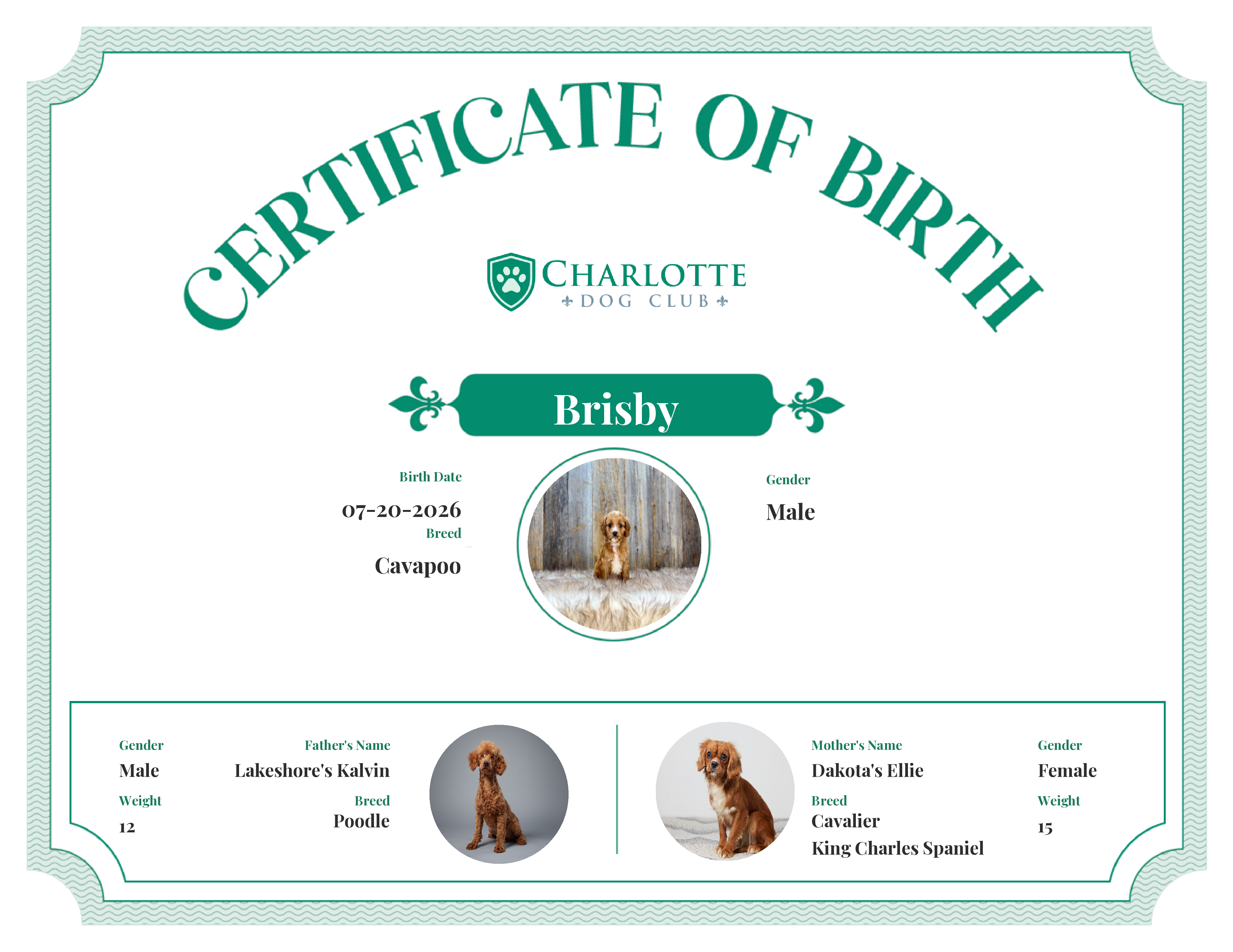 Brisby's Birth Certificate