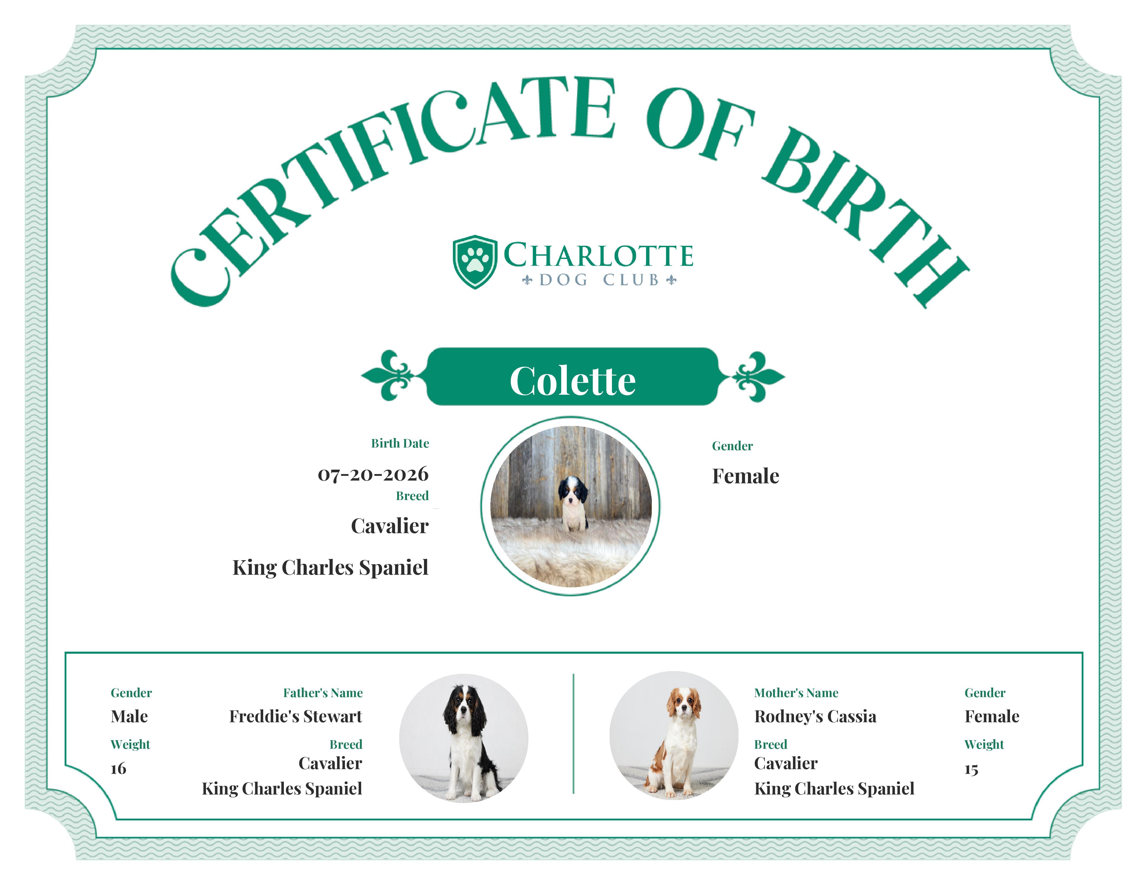 Colette's Birth Certificate