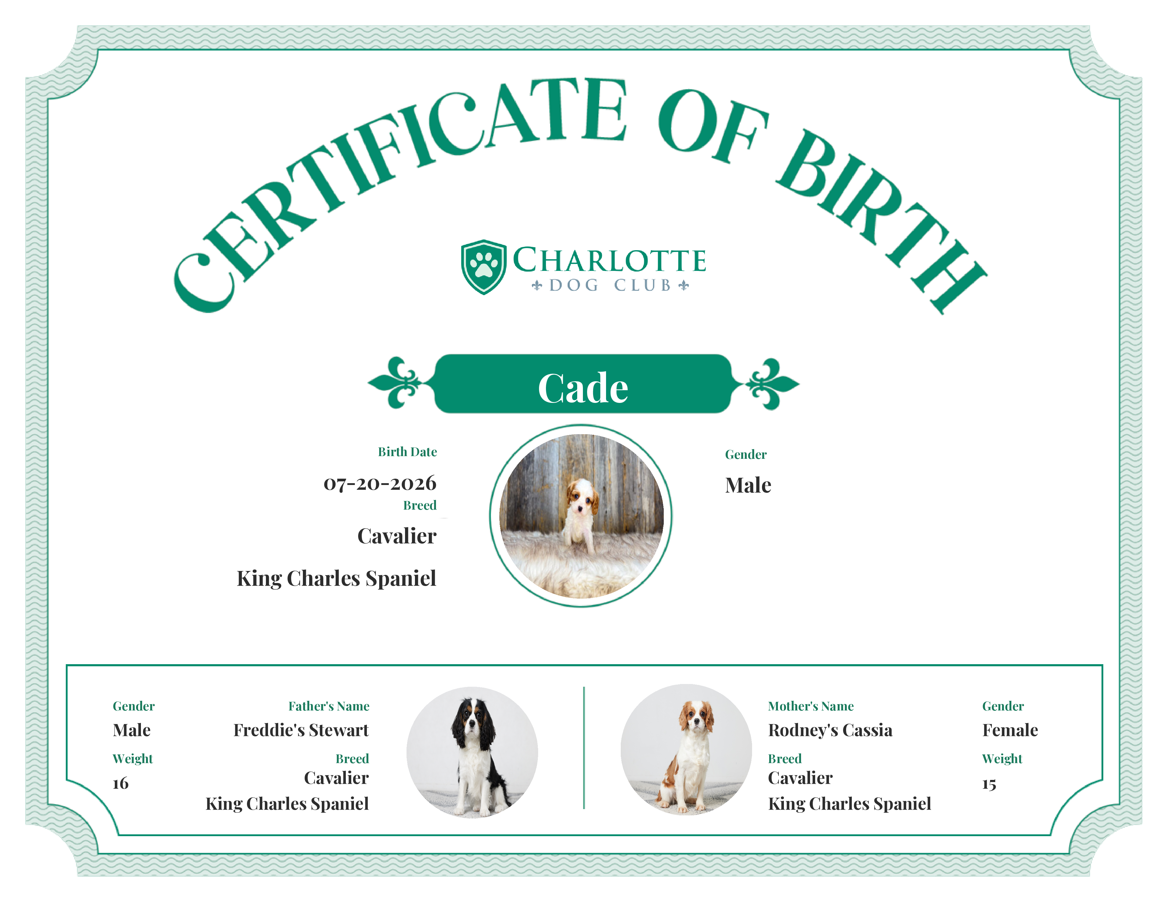 Cade's Birth Certificate