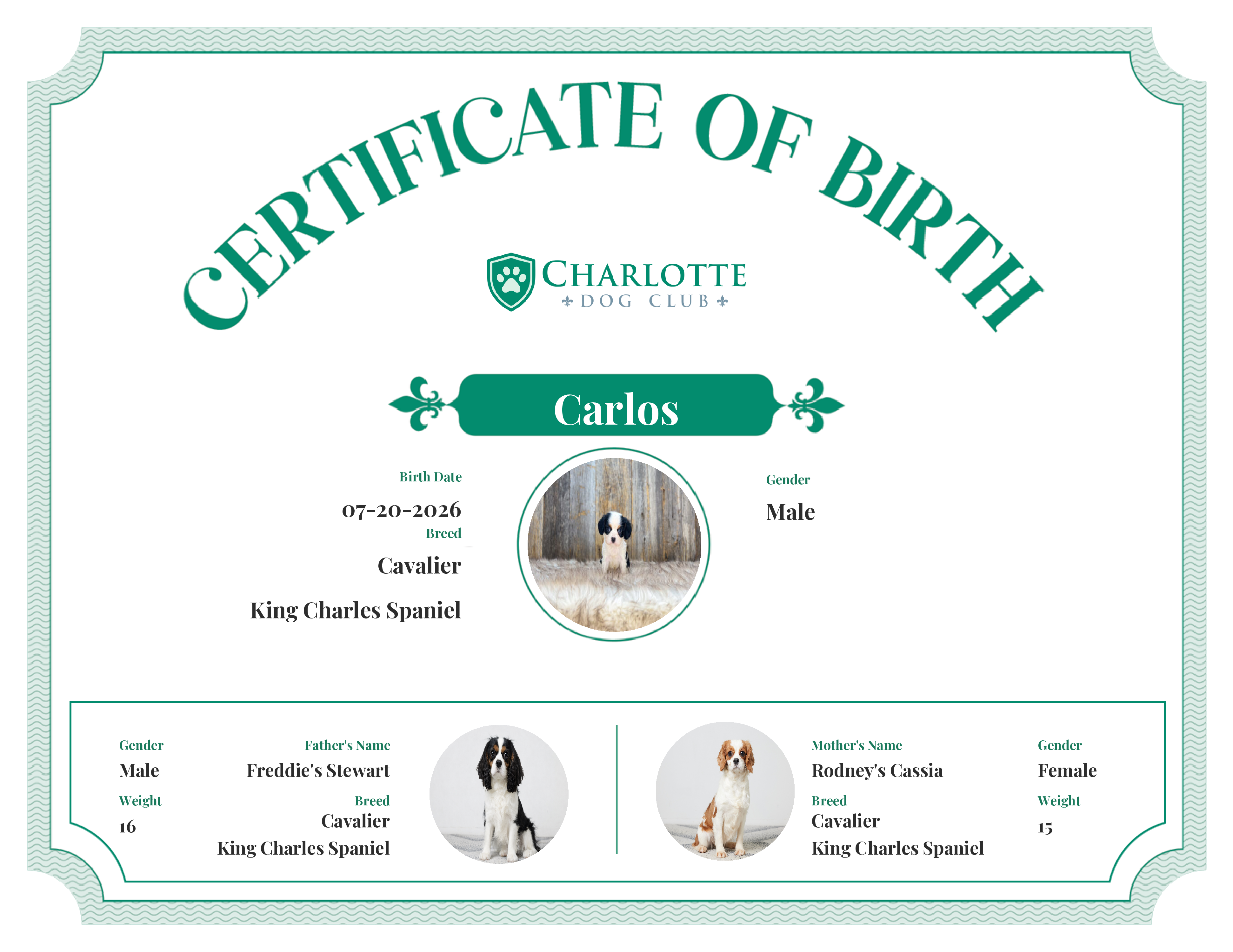 Carlos's Birth Certificate
