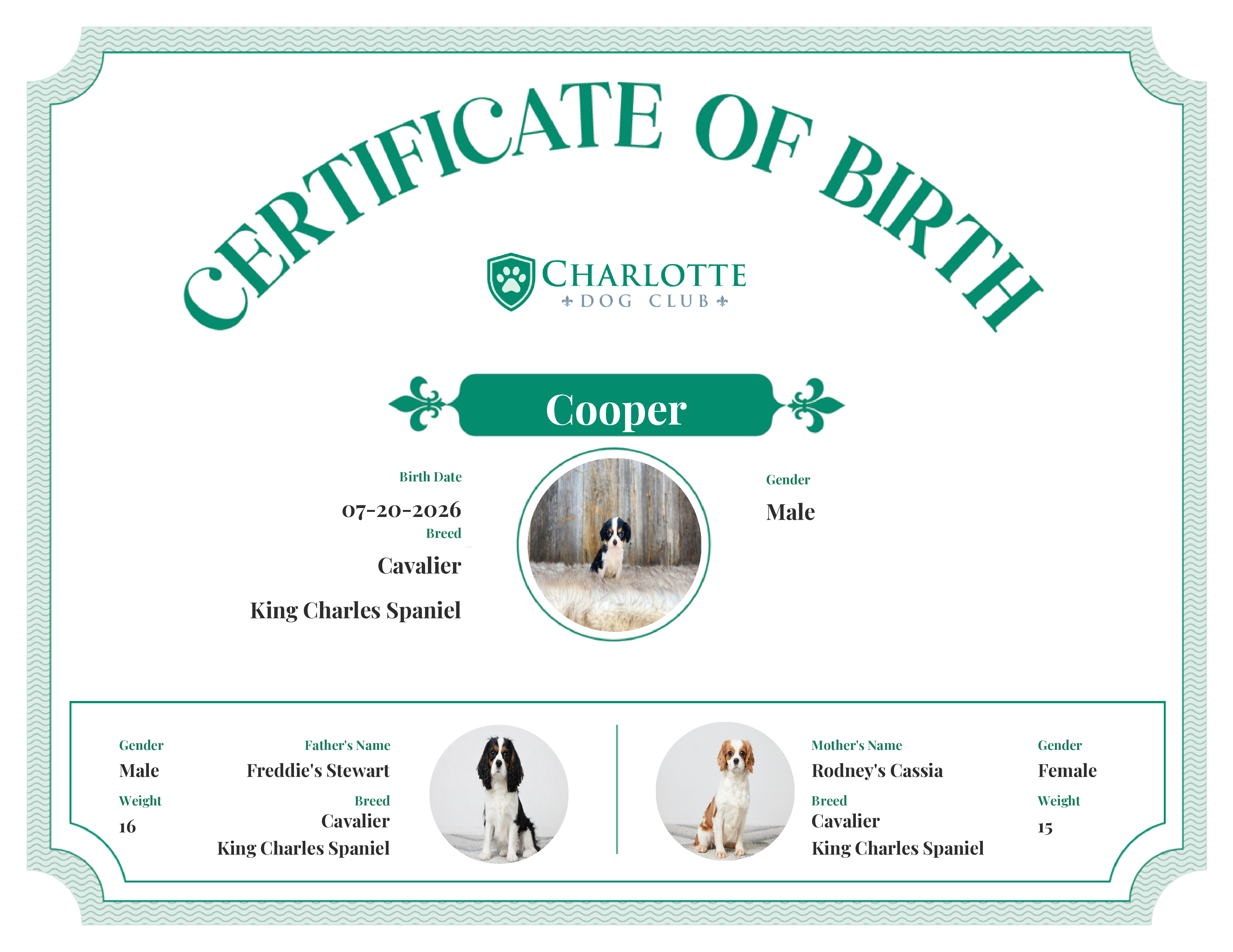 Cooper's Birth Certificate