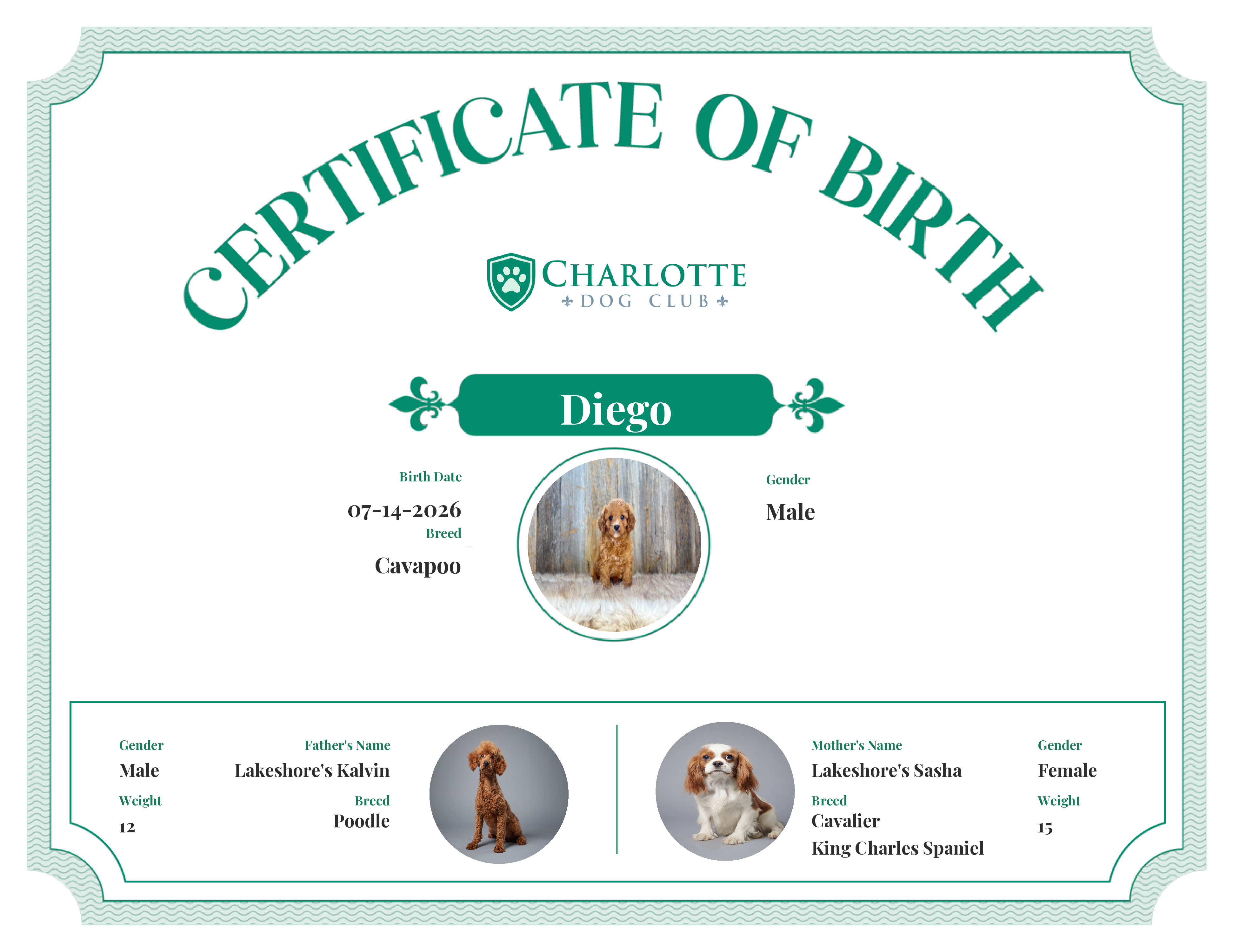 Diego's Birth Certificate