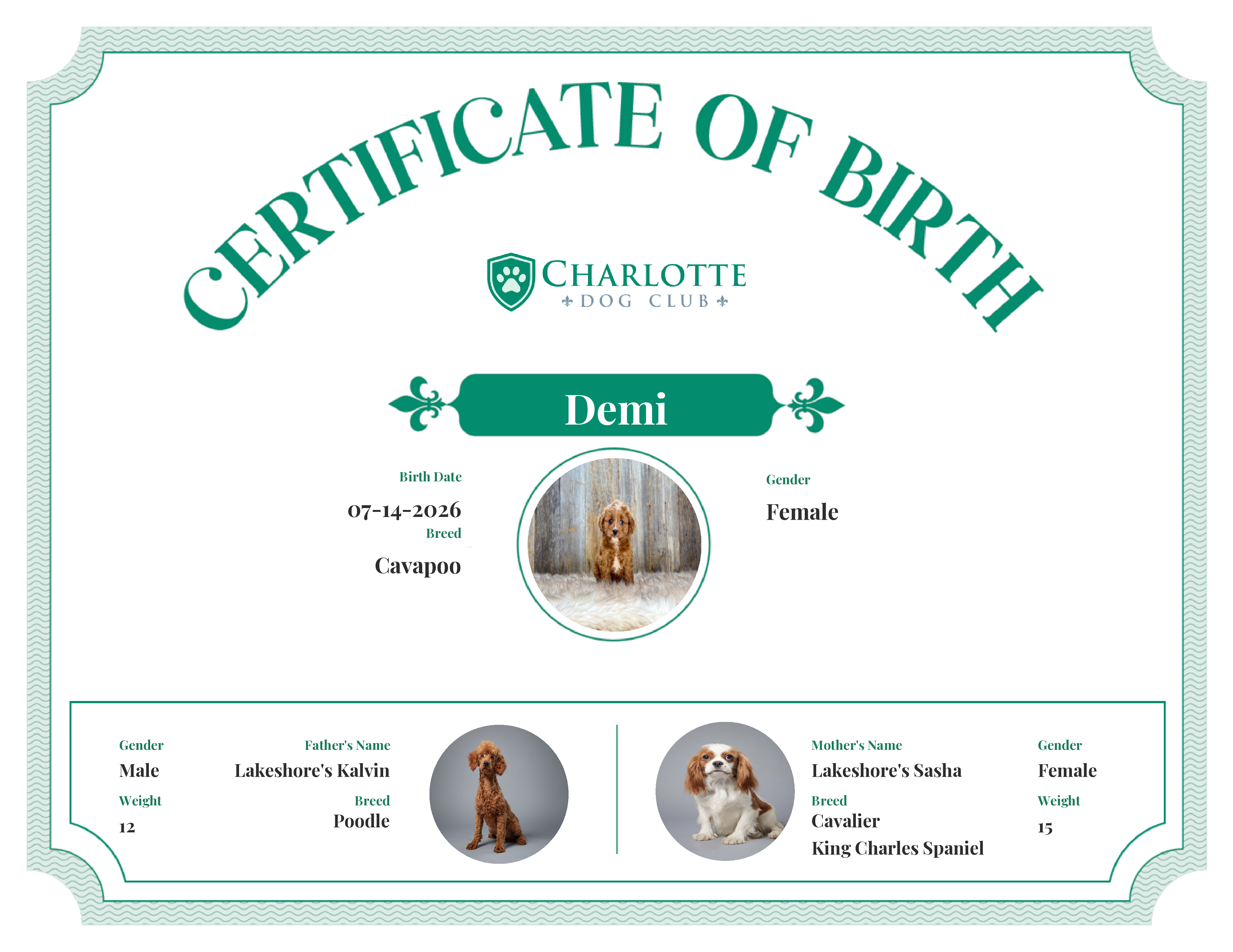 Demi's Birth Certificate