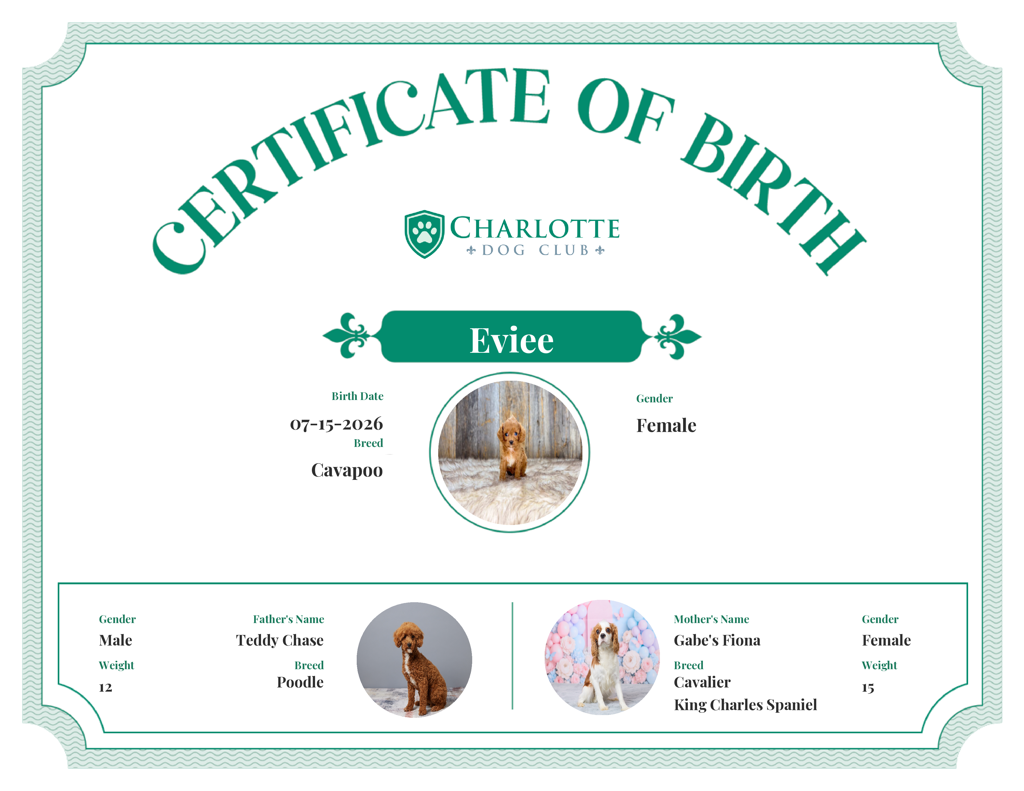 Eviee's Birth Certificate